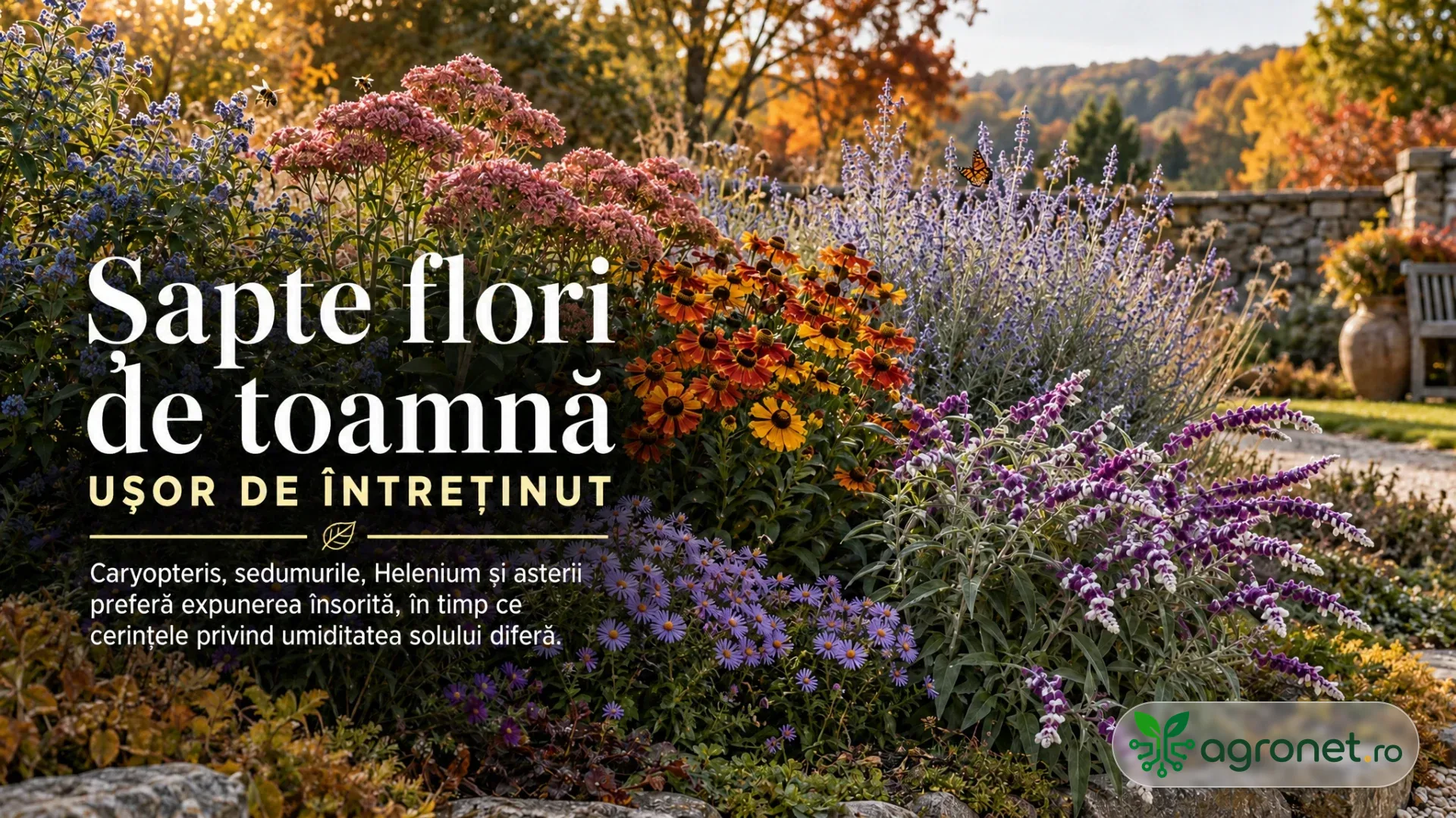 Grădină de toamnă cu flori mov, roz și portocalii, vegetație în culori calde și un fluture deasupra plantelor.