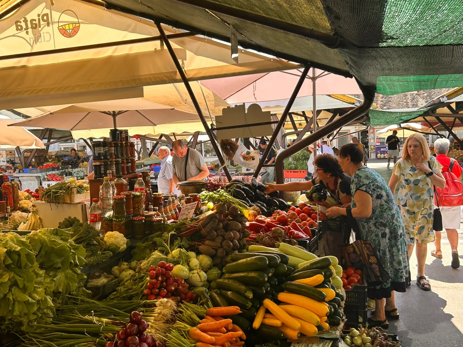 Rubarba cultivată în Olt și-a găsit cumpărători în Piața Cibin din Sibiu