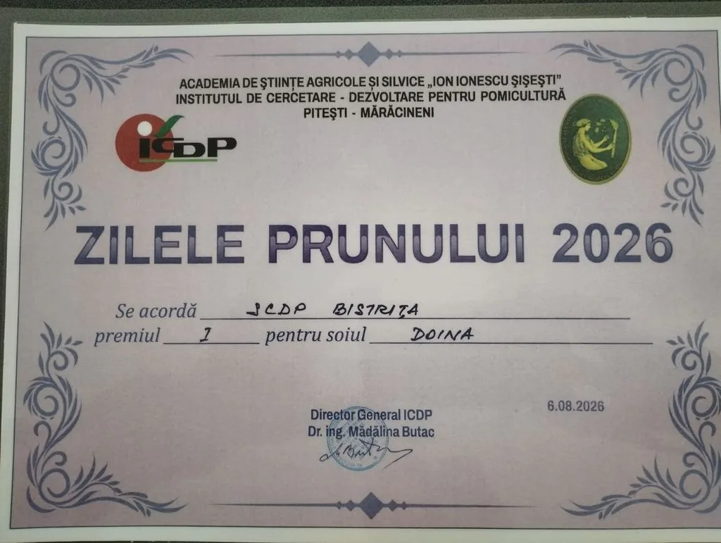 Diplomă Zilele Prunului 2026 pentru soiul Doina, premiul I