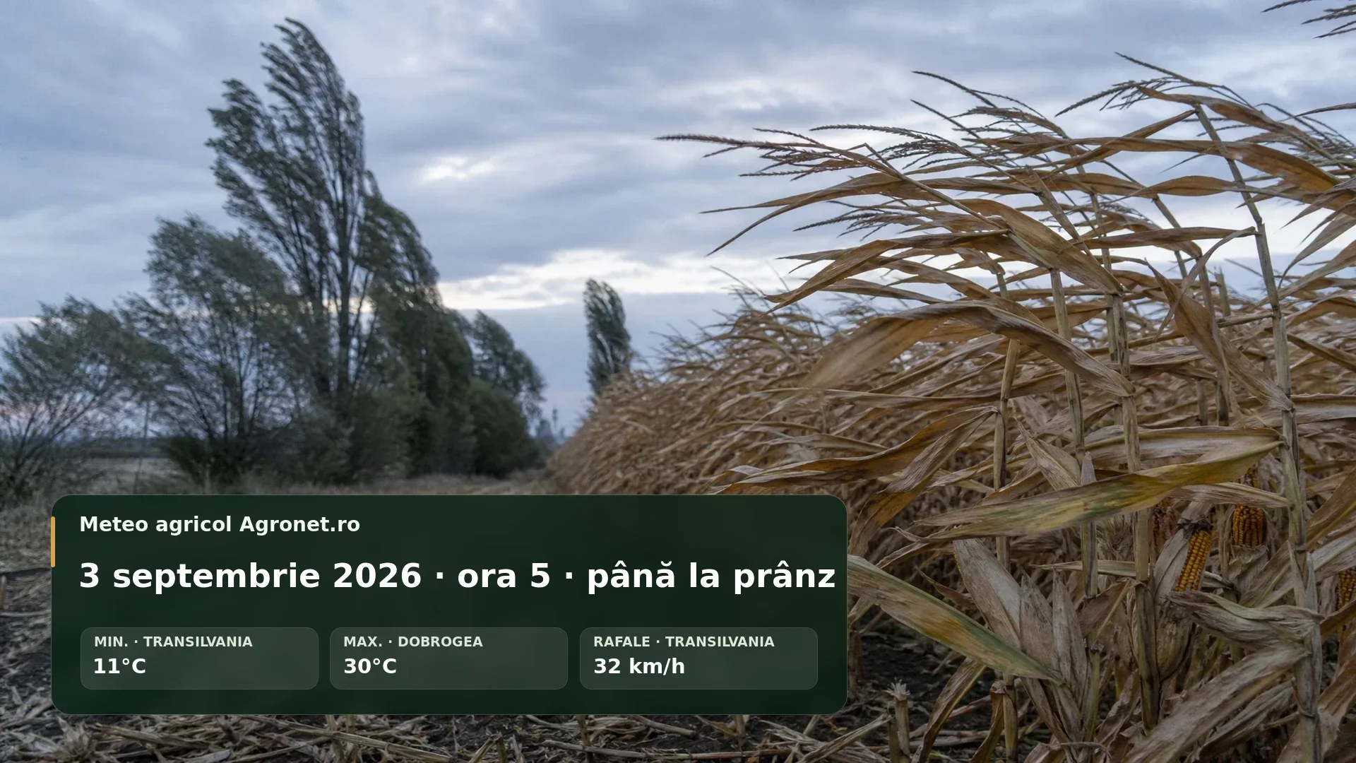 Utilaj agricol pe câmp la început de toamnă, sub cer parțial noros