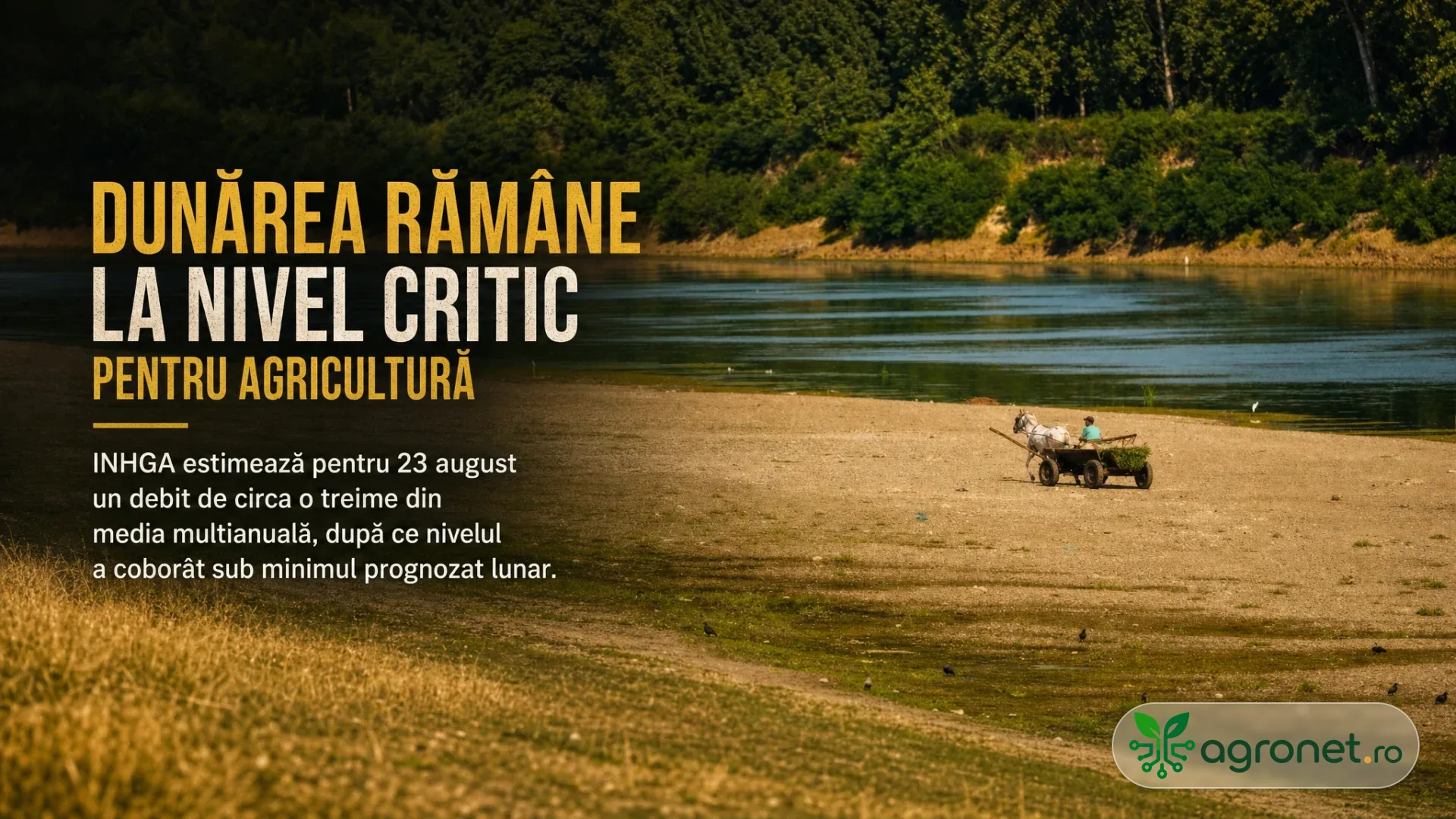 Râu cu nivel scăzut, mal nisipos expus, vegetație pe fundal și o căruță trasă de cal aproape de apă.