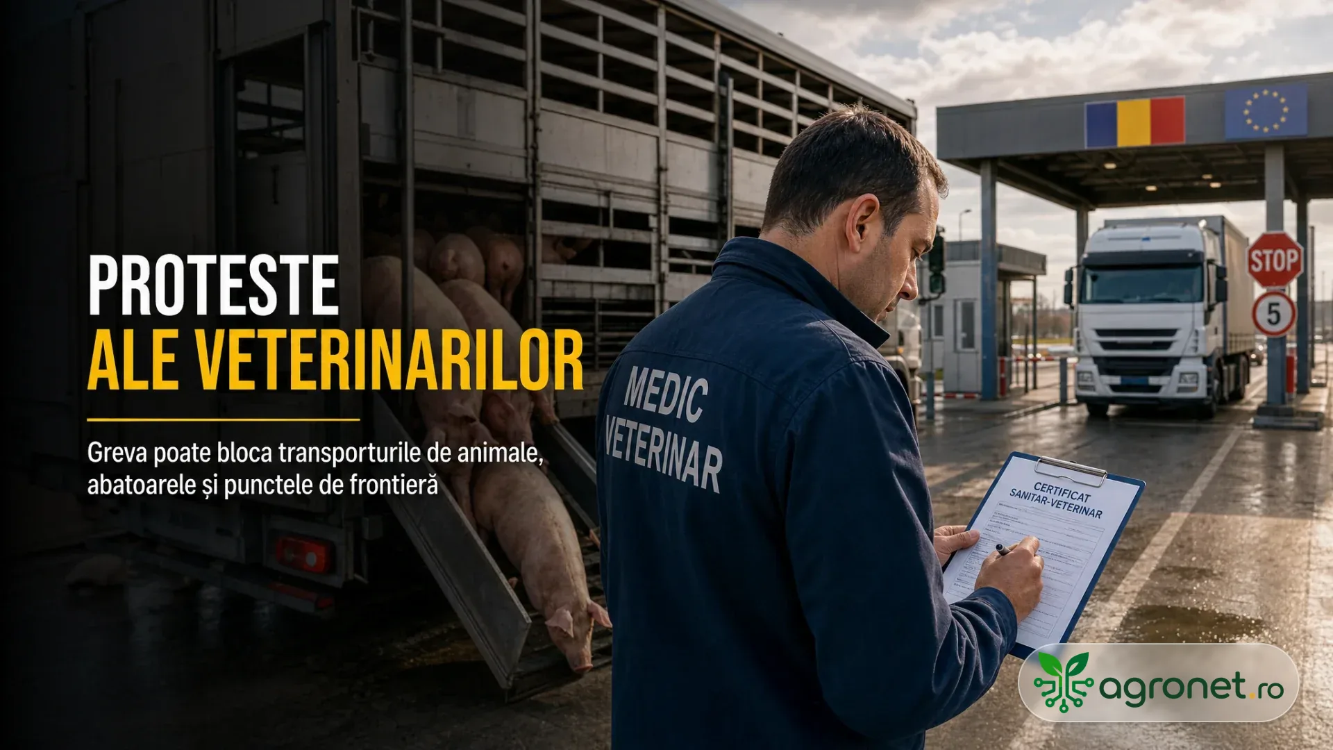 Medic veterinar verifică documente lângă un camion cu porci, în apropierea unui punct de frontieră.