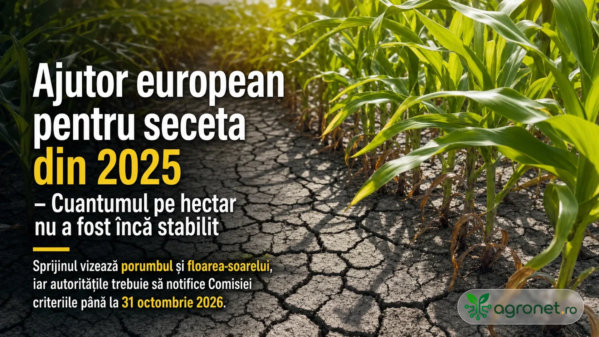 Ajutor european pentru seceta din 2025 – Cuantumul pe hectar nu a fost încă stabilit
