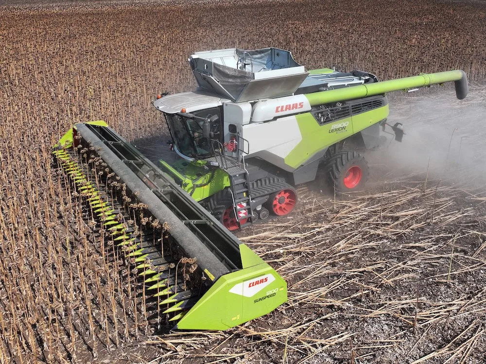 Combină CLAAS cu heder verde recoltează floarea-soarelui pe câmp