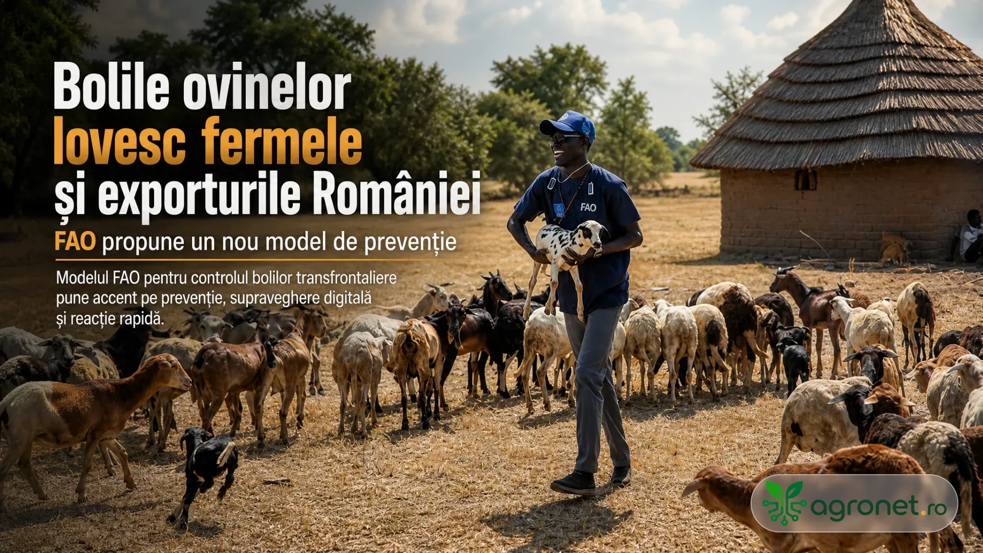 Un bărbat ține un ied lângă o turmă de oi și capre, într-o gospodărie rurală.