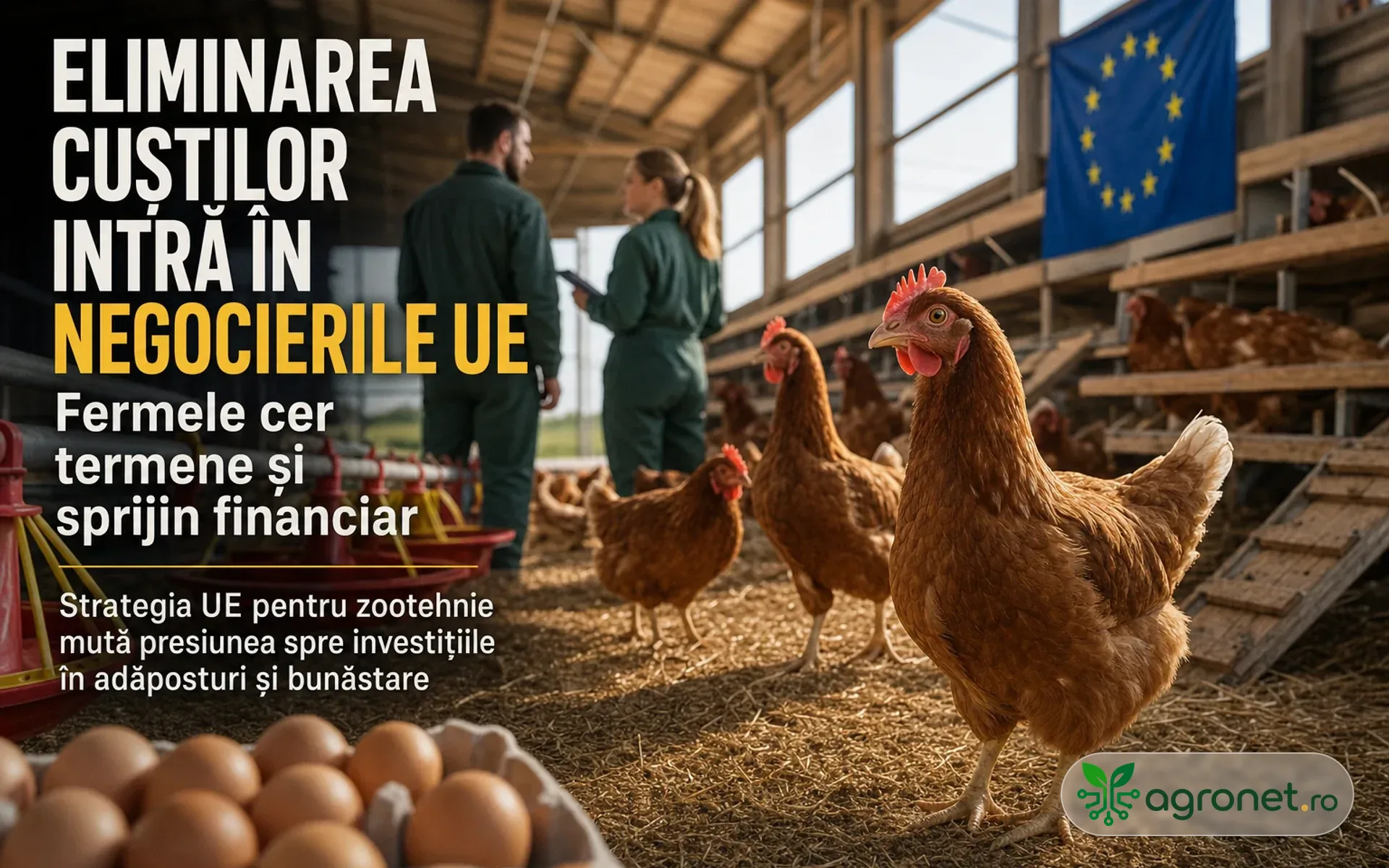Eliminarea cuștilor intră în negocierile UE – fermele cer termene și sprijin financiar