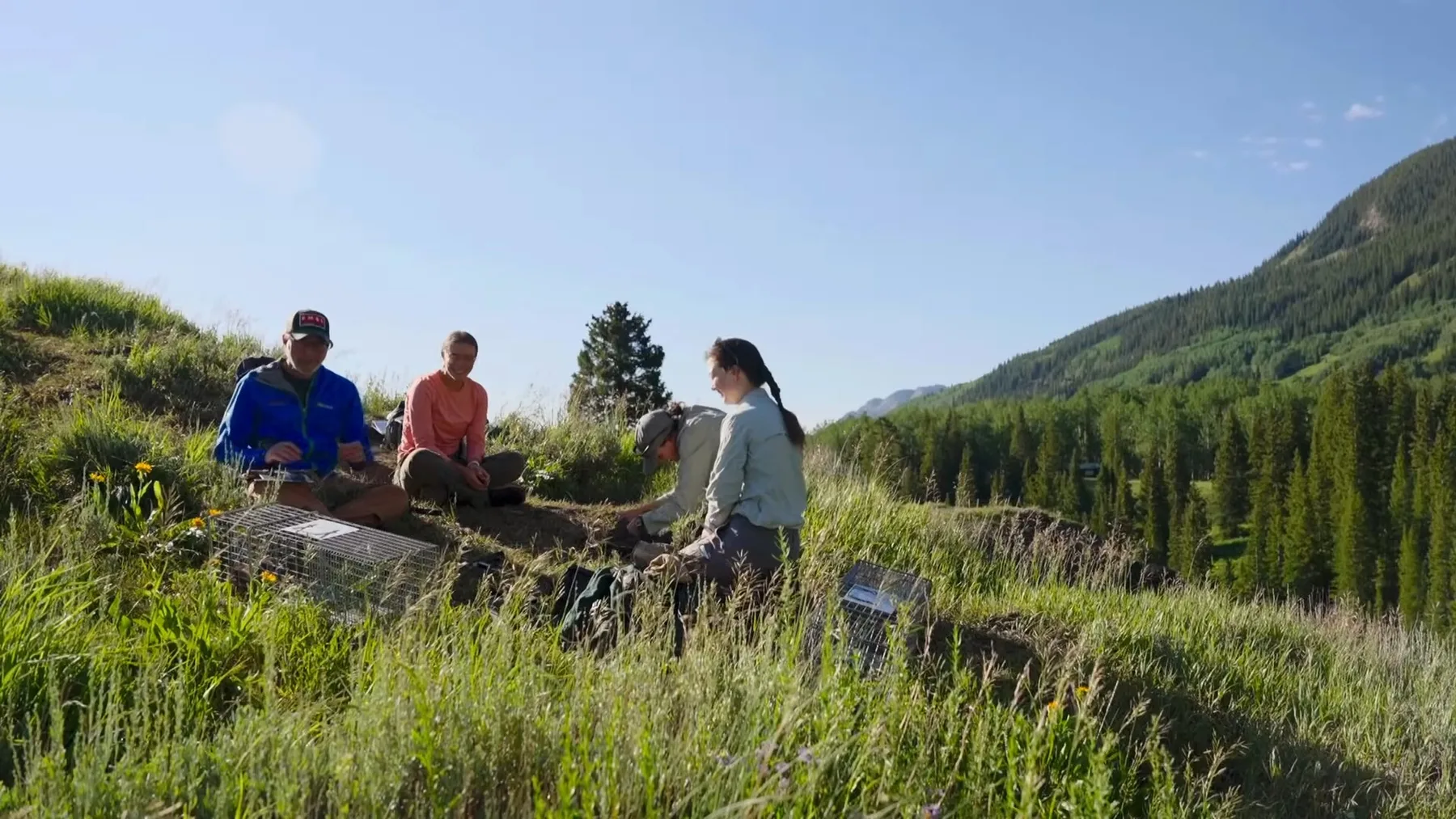 Trei cercetători pe pajiște montană, cu pădure de conifere în fundal