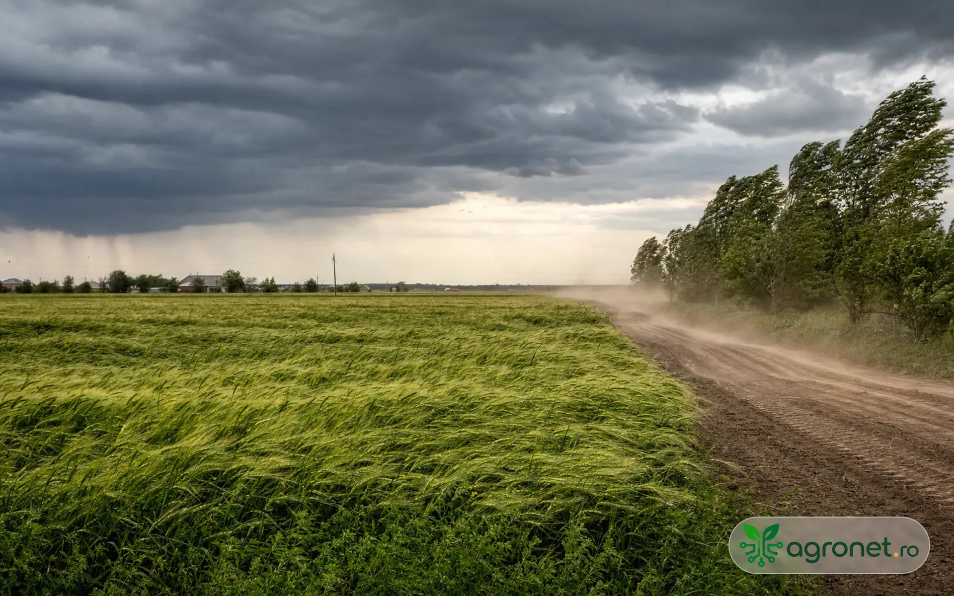 Buletinul Meteo agricol România despre vântul puternic din Oltenia și ferestrele de lucru de seară