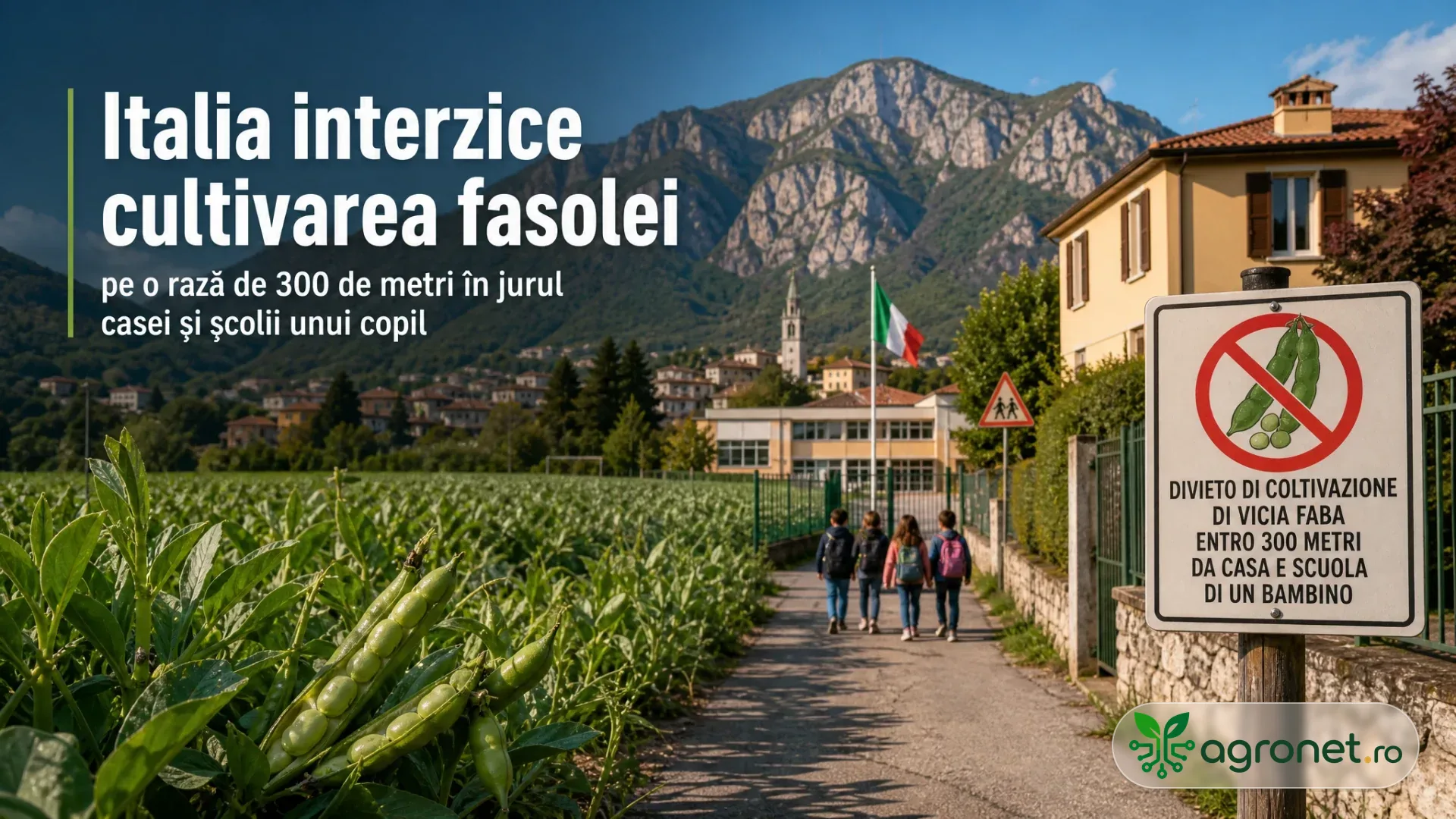 Câmp cu păstăi de bob lângă o școală, copii pe alee și un panou de interdicție, cu munți în fundal.