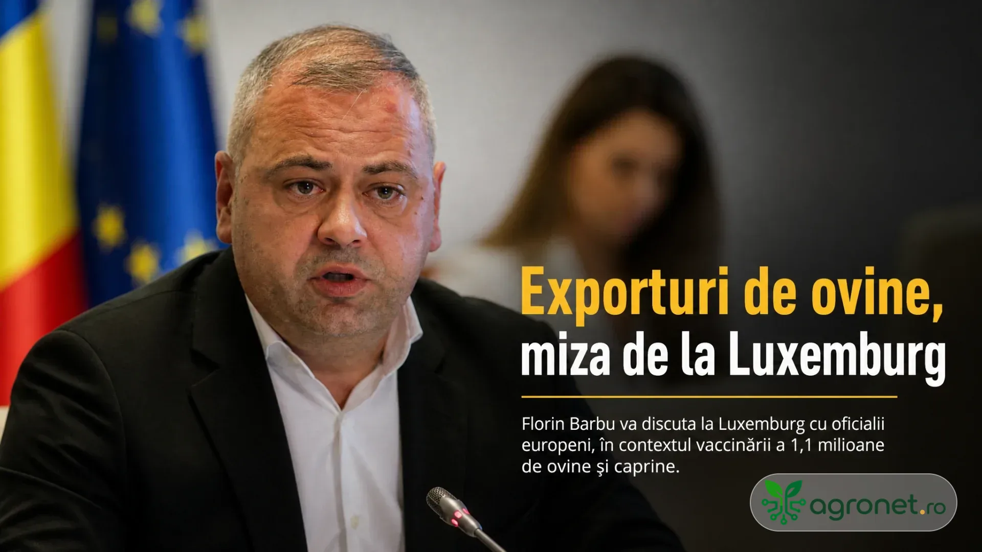 Bărbat în costum vorbește la microfon, cu steagurile României și Uniunii Europene în fundal.