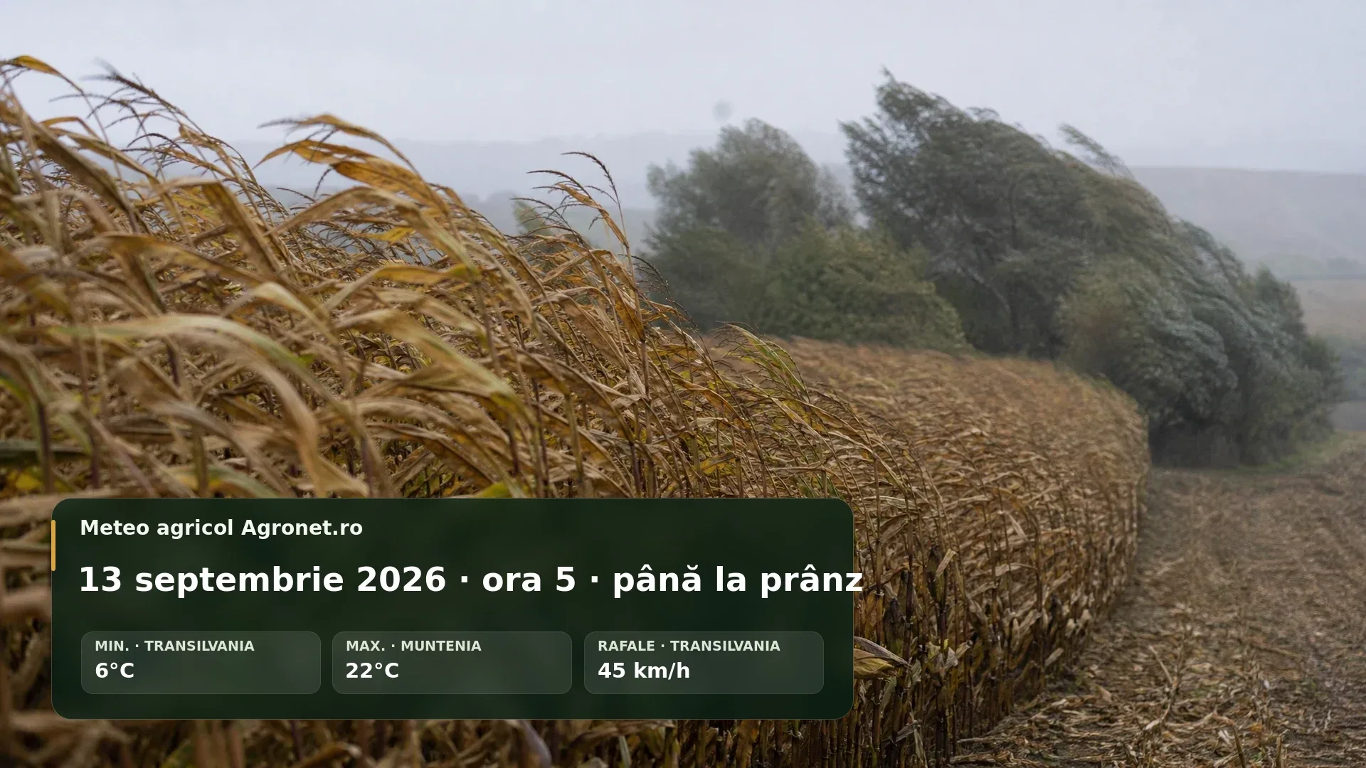 Utilaj agricol pe un drum de fermă, într-o dimineață înnorată de toamnă