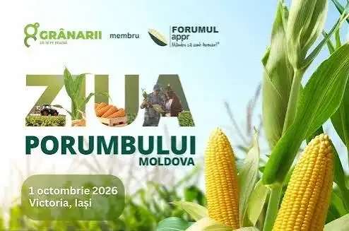 Afiș Ziua Porumbului Moldova 2026, cu știuleți și lan de porumb