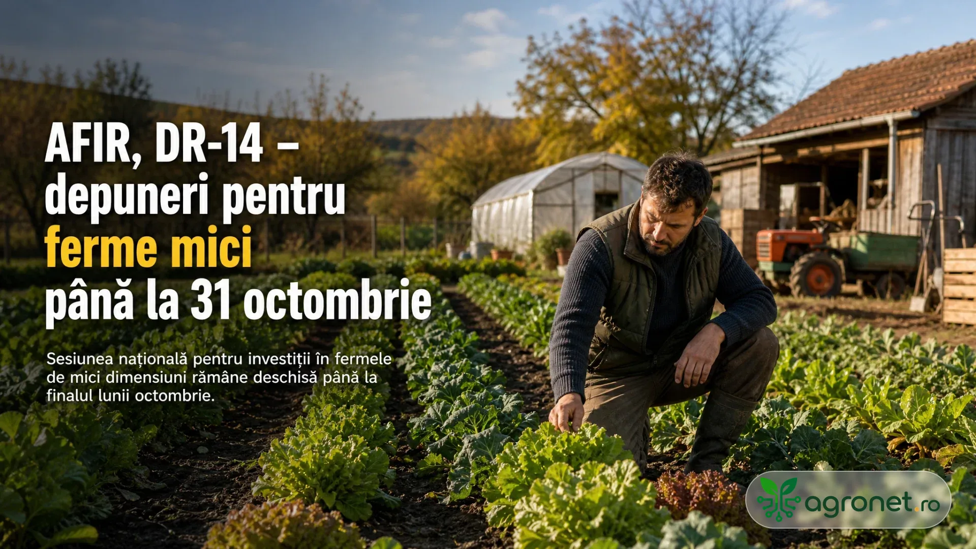 Fermier verificând cultura de legume într-o fermă de mici dimensiuni