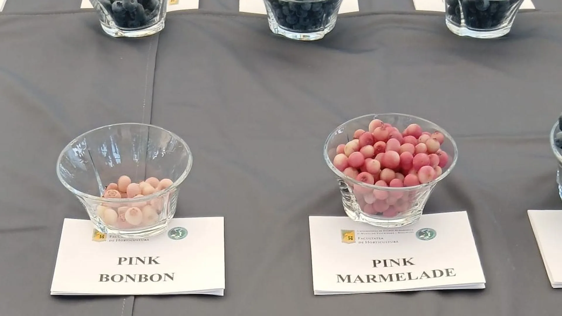Fructe roz în boluri, etichetate Pink Bonbon și Pink Marmelade
