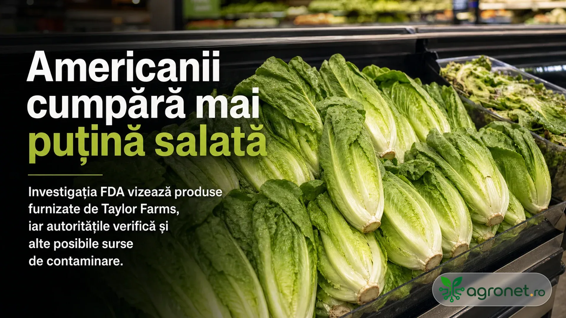 Raft frigorific de supermarket cu salată verde așezată în lăzi negre.
