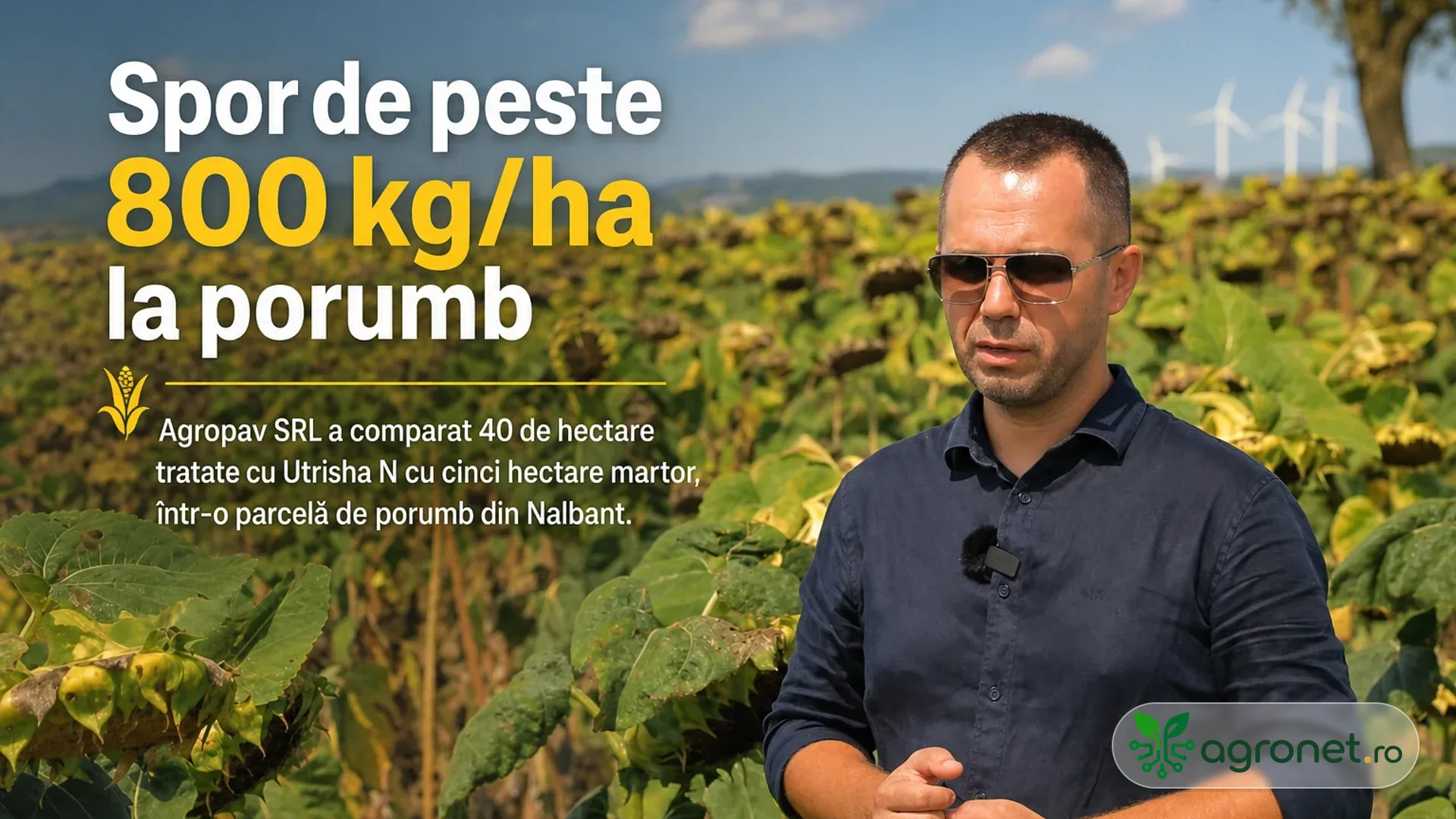 Bărbat cu ochelari de soare într-un lan de floarea-soarelui, cu turbine eoliene în fundal și text suprapus.