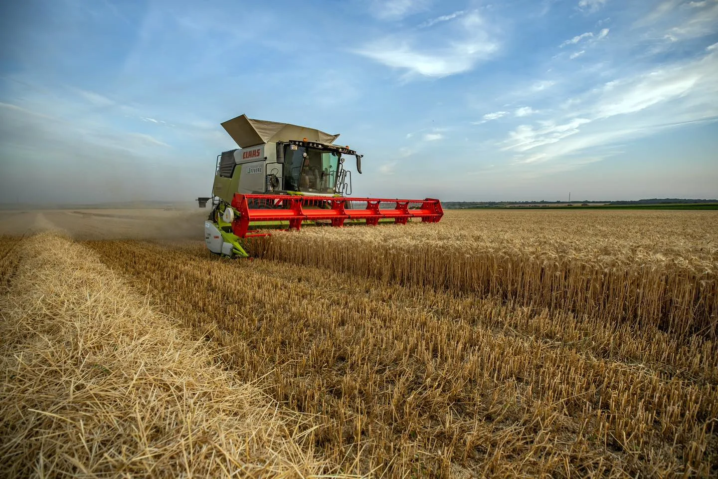 Combină agricolă recoltează cereale pe un câmp întins, sub cer senin