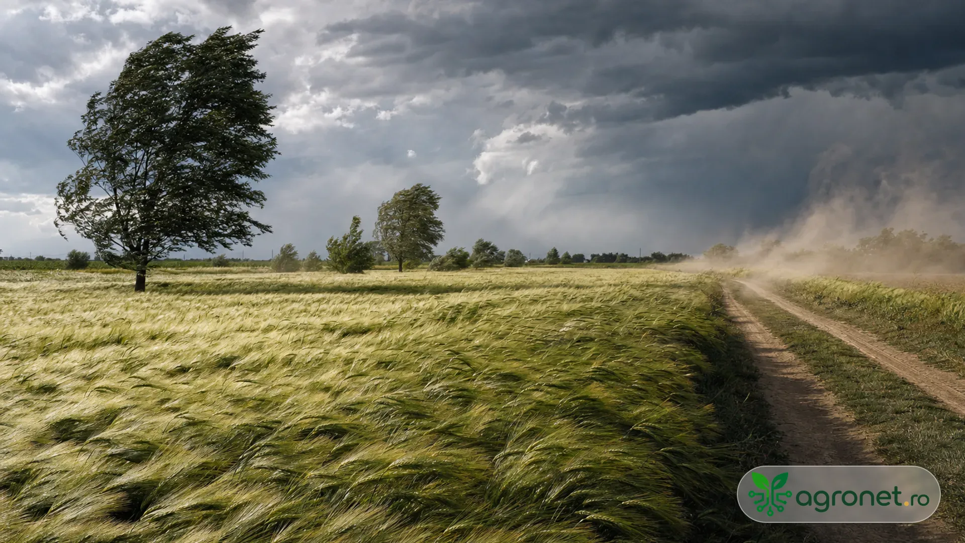 Buletin Meteo agricol România pentru 27 iulie, cu accent pe vântul din Crișana și Banat
