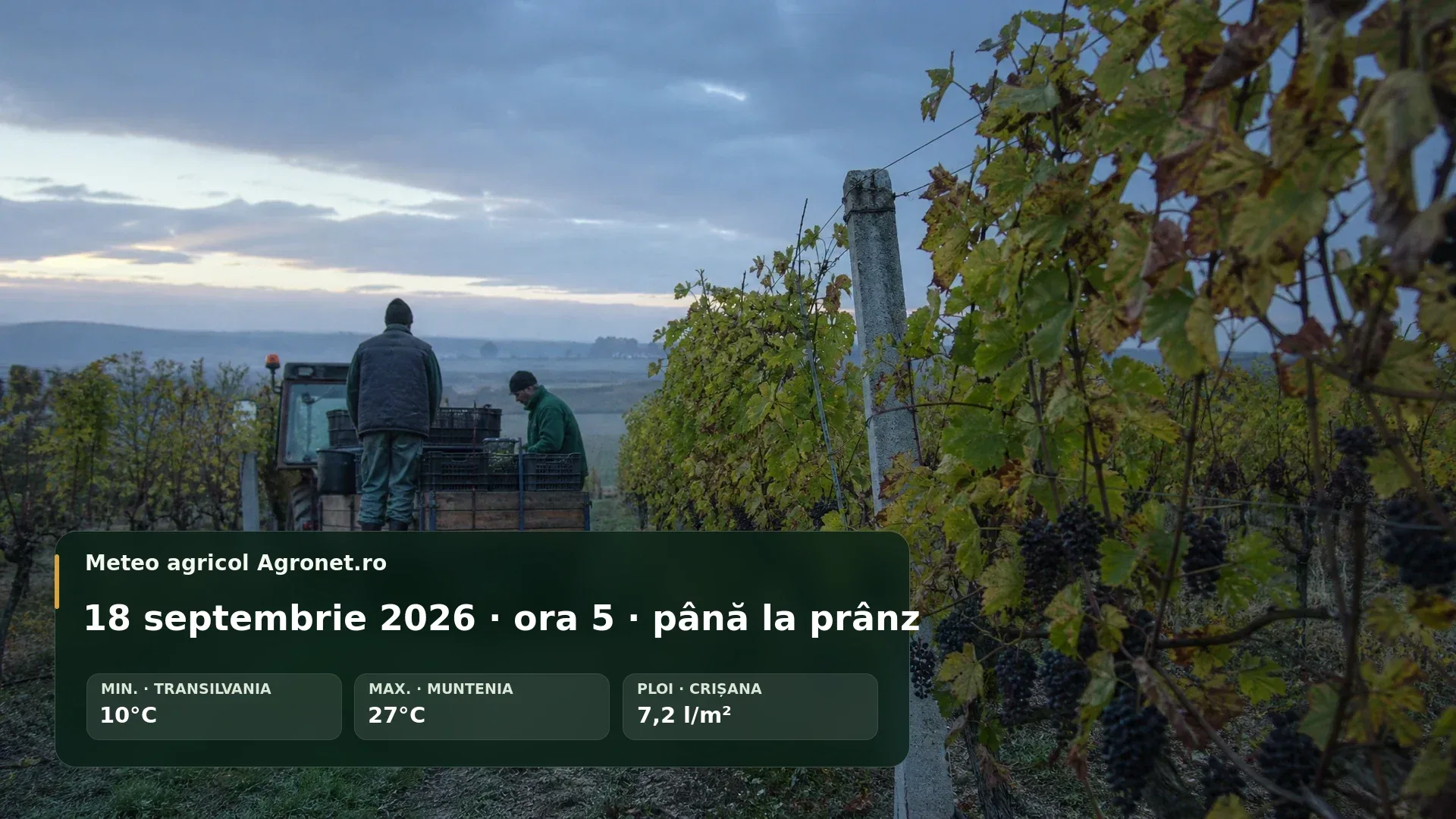 Utilaj agricol într-un câmp la început de zi, în condiții de vreme senină