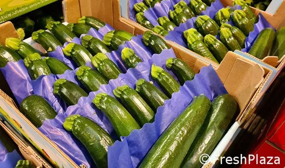 Dovlecei verzi ambalați în lăzi de carton, separați cu hârtie albastră