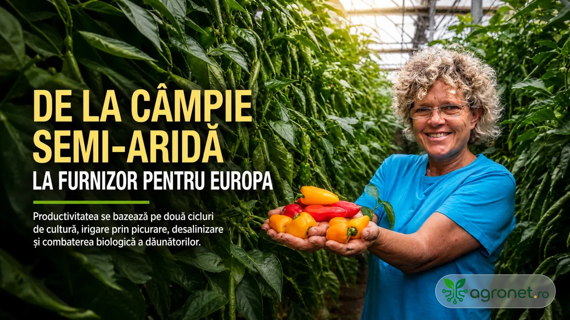 Femeie zâmbitoare ține ardei roșii și galbeni între rânduri de plante într-o seră.