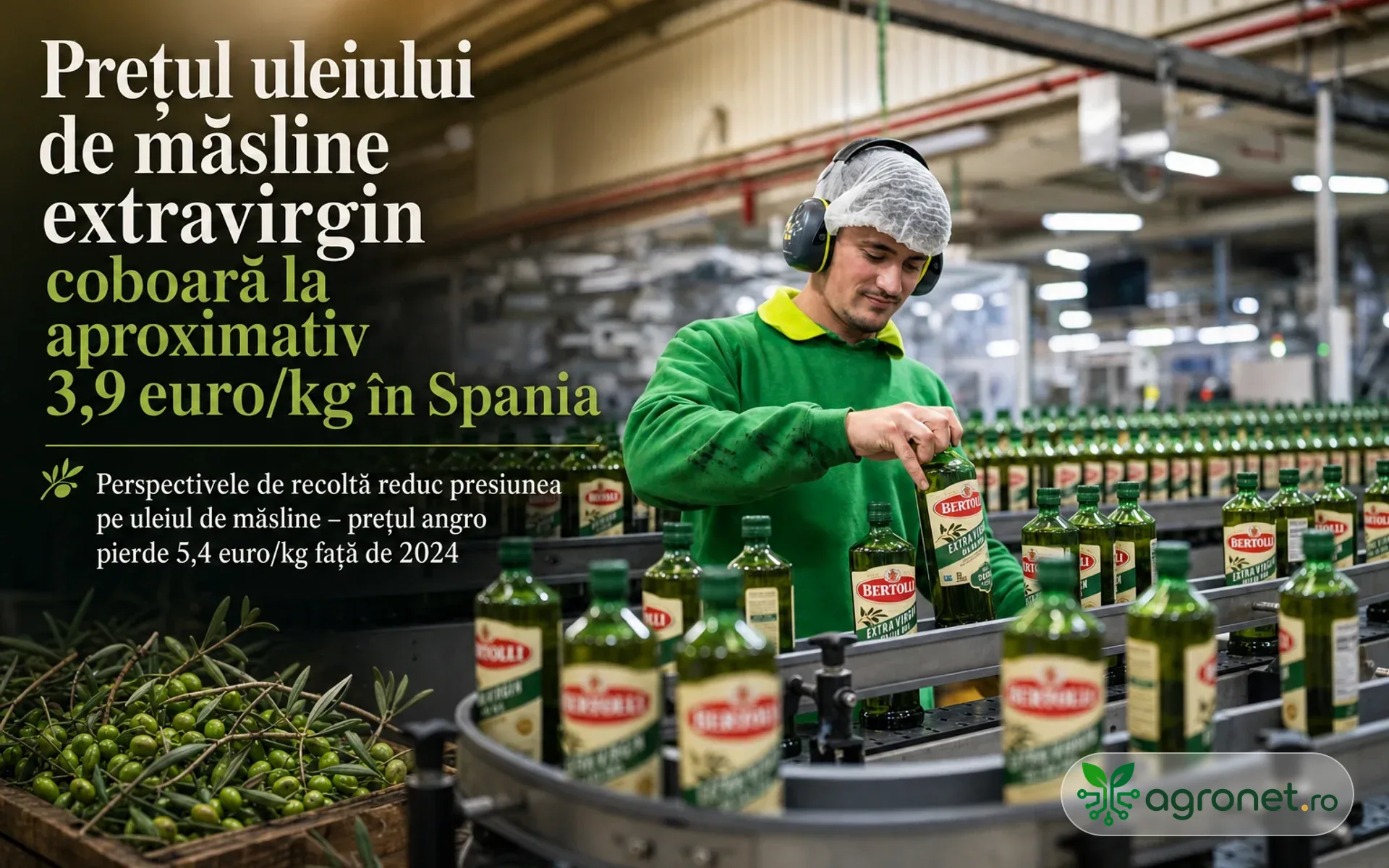 Prețul uleiului de măsline extravirgin coboară la aproximativ 3,9 euro/kg în Spania