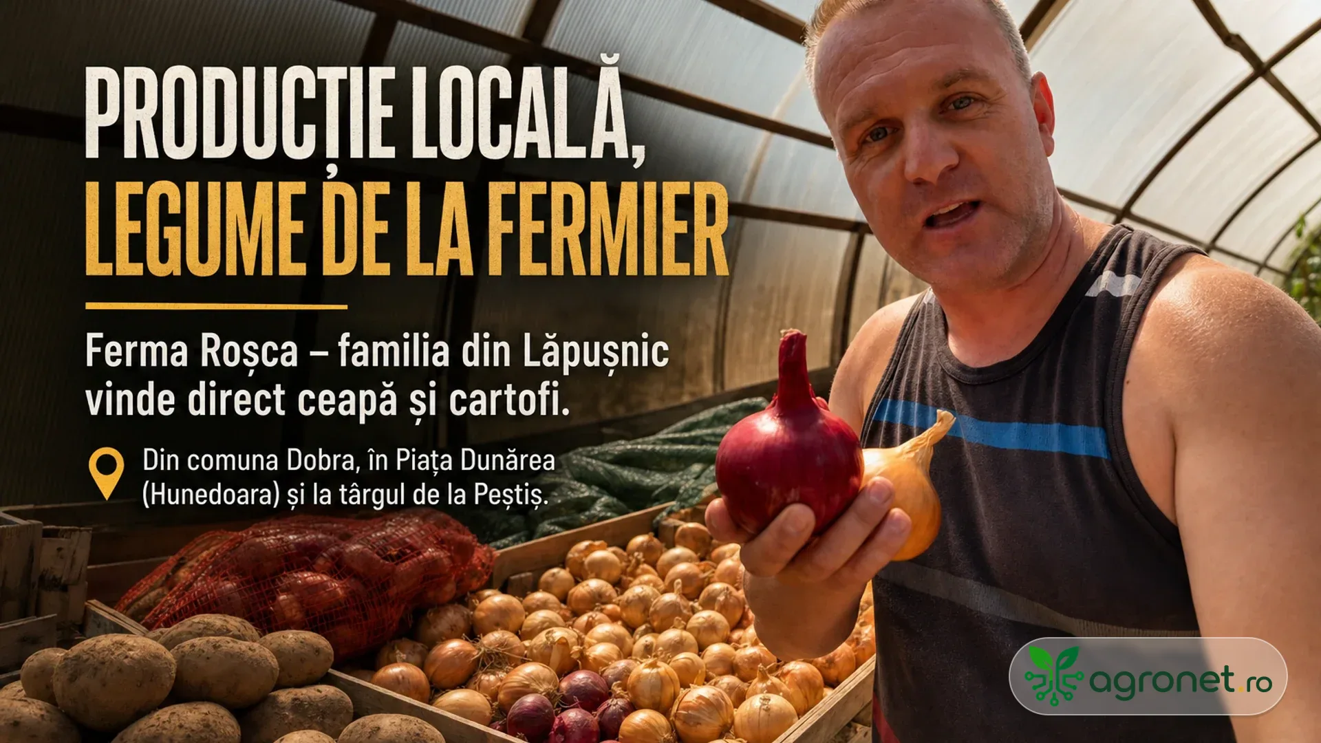 Bărbat într-un solar ține o ceapă roșie și una galbenă lângă lăzi cu ceapă și cartofi.