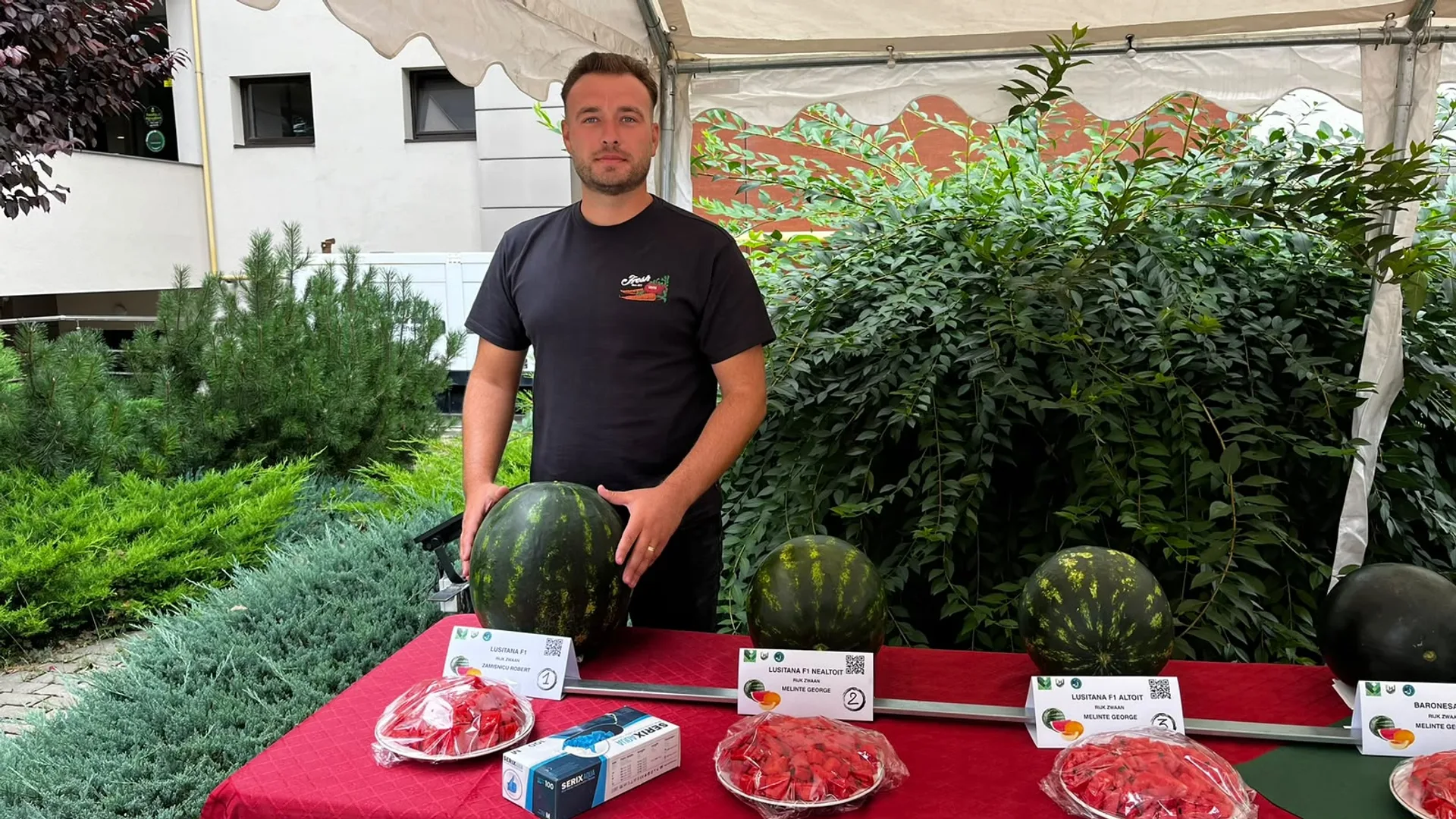 Bărbat lângă o masă cu pepeni verzi întregi și bucăți tăiate, sub un cort.