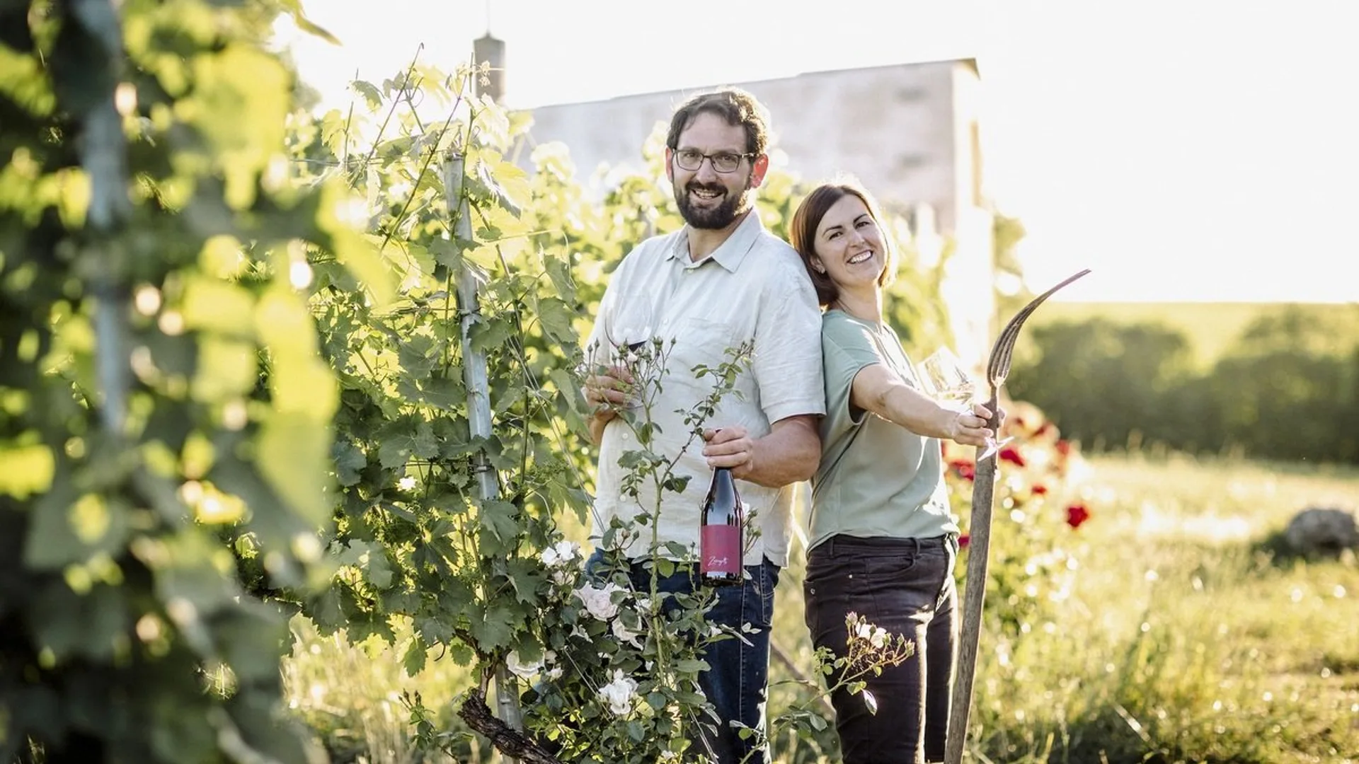 Doi oameni stau lângă rânduri de viță-de-vie, cu trandafiri plantați la marginea rândului.
