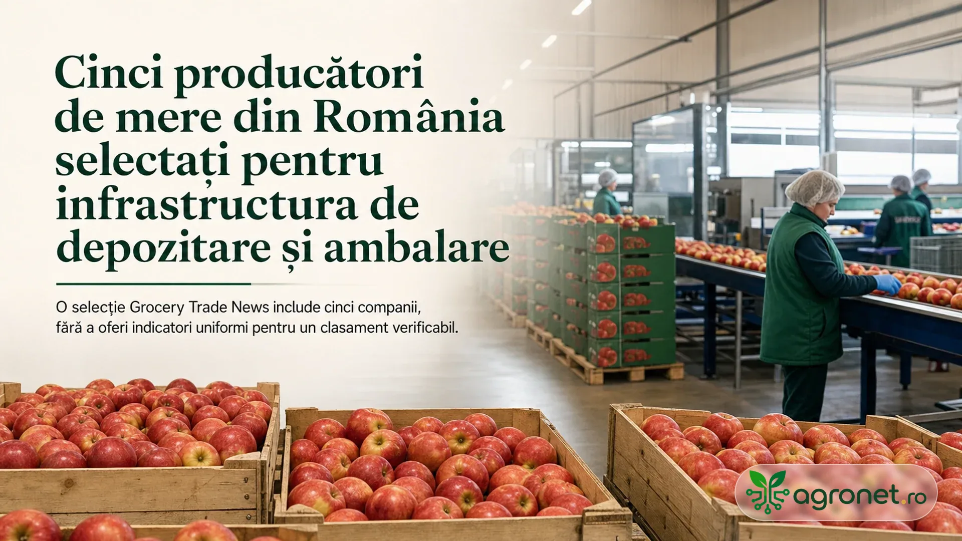 Cinci producători de mere din România selectați pentru infrastructura de depozitare și ambalare