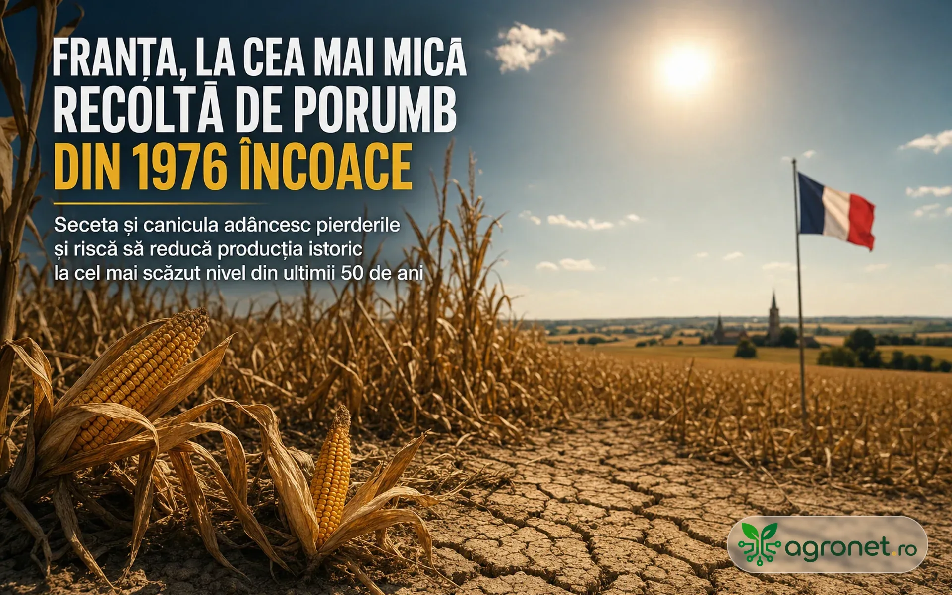 Franța ar putea înregistra în 2026 cea mai mică recoltă de porumb din 1976 încoace - Canicula agravează pierderile