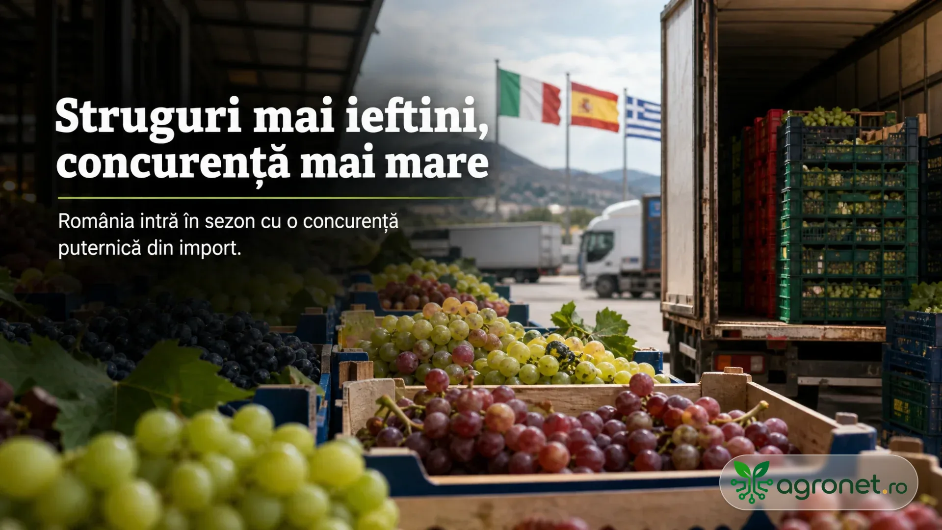 Lăzi cu struguri de masă într-o zonă de încărcare, lângă un camion și steaguri europene.