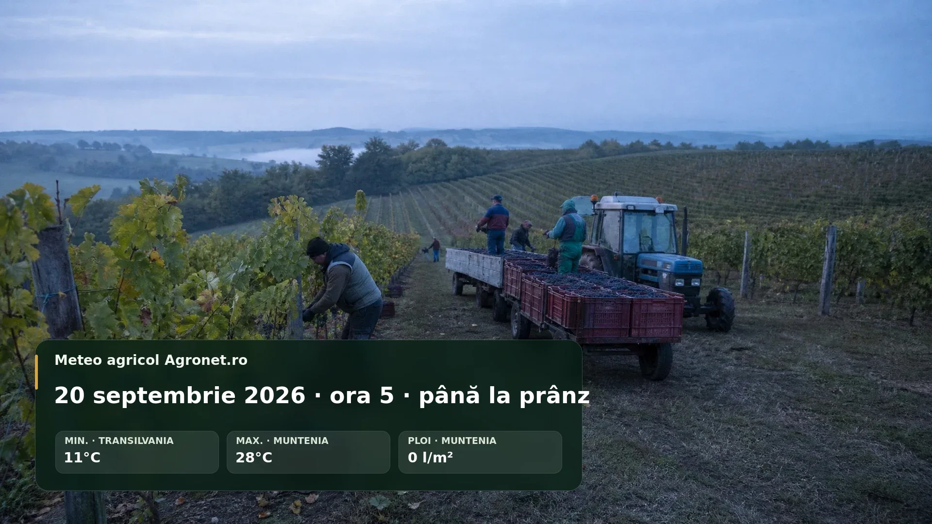 Utilaj agricol lucrând într-un câmp uscat într-o dimineață senină de septembrie