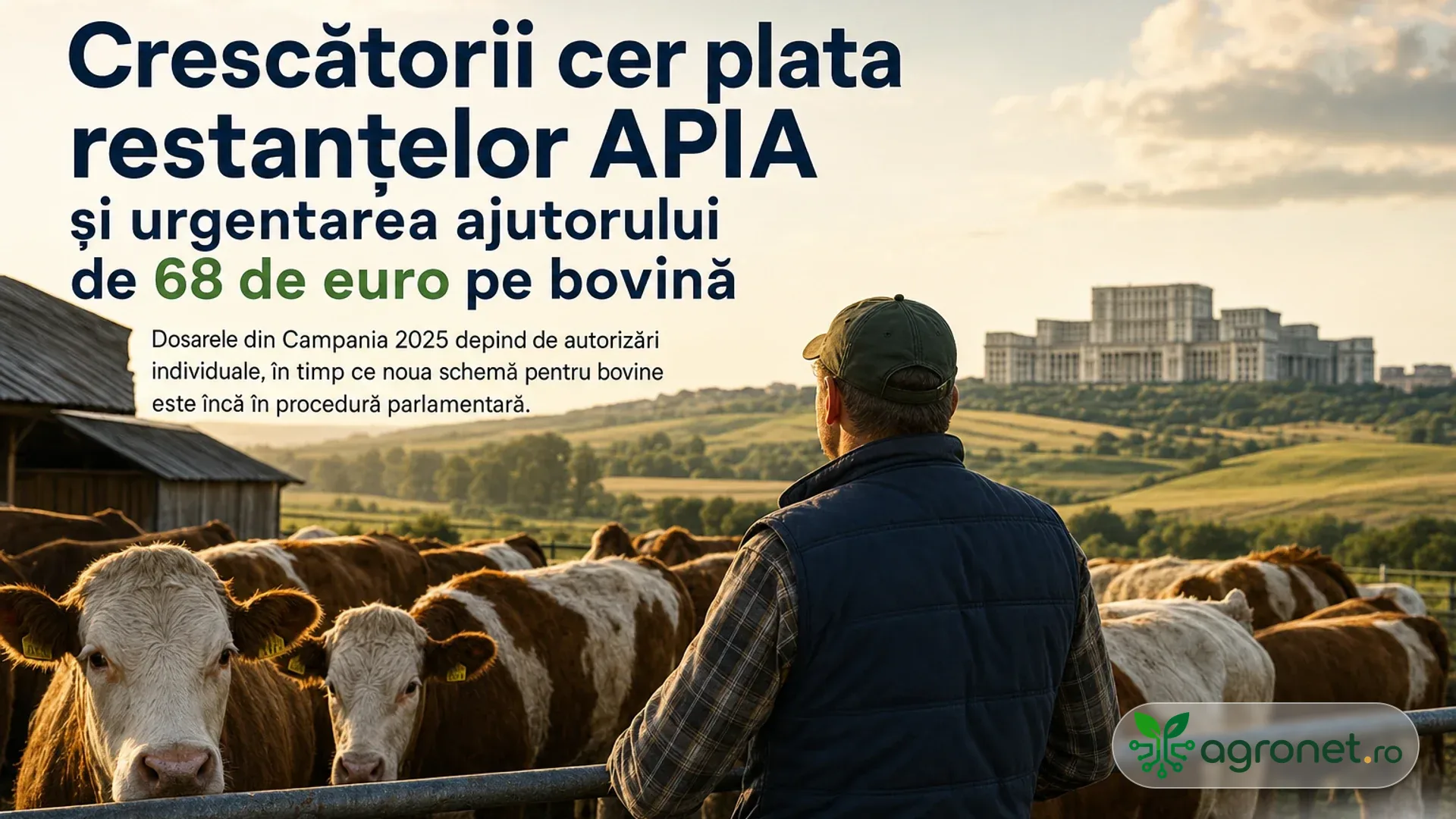 Fermier văzut din spate lângă o turmă de bovine, pe un fundal rural cu clădire mare la orizont.