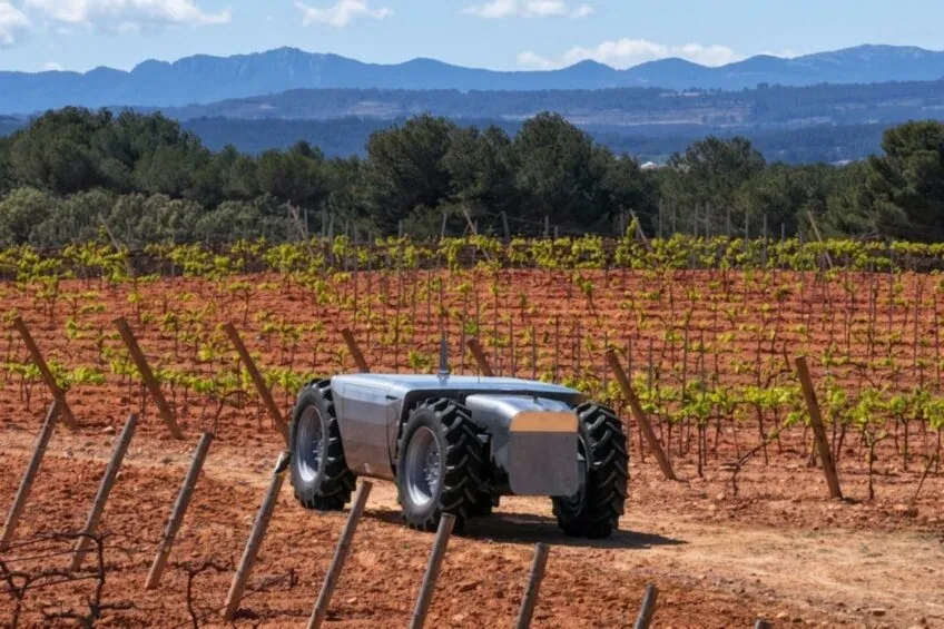 Robotul electric autonom Thor circulă printre rânduri de viță-de-vie