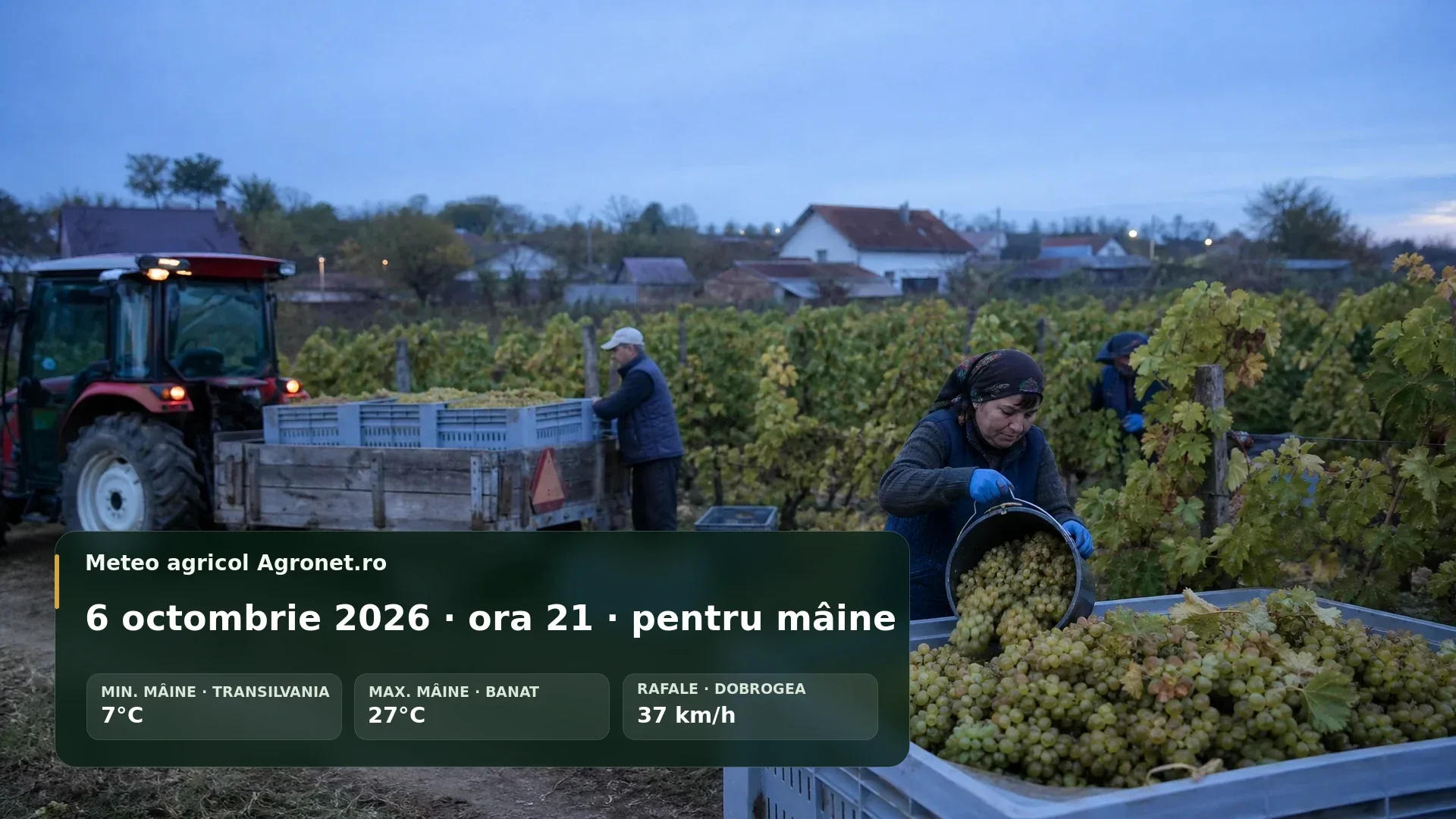Utilaje agricole în câmp într-o dimineață senină de octombrie