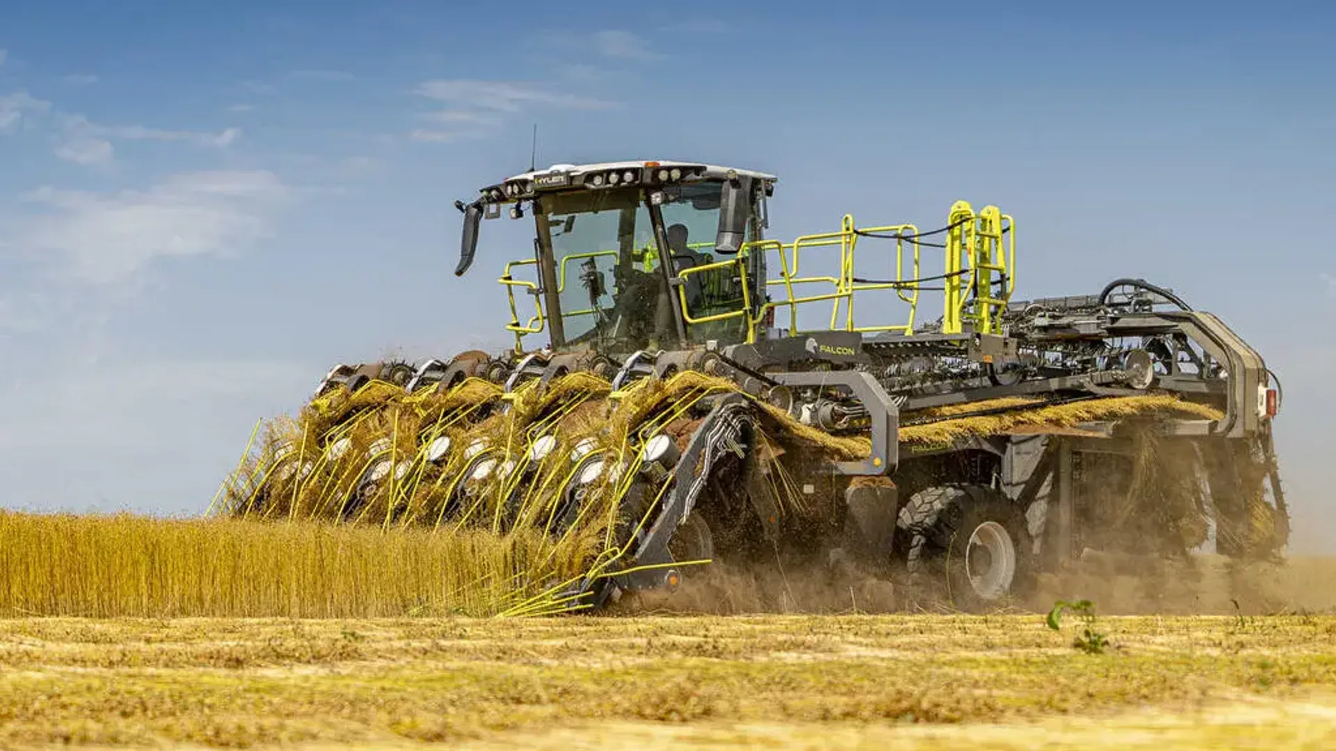 Utilaj agricol autopropulsat recoltează o cultură de in pe un câmp uscat, ridicând praf în spate.