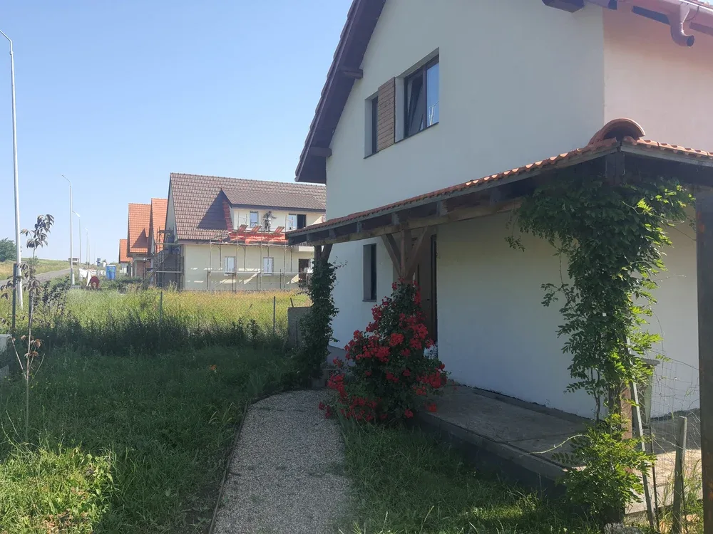 Case noi cu acoperișuri roșii și curți înierbate pe o stradă rurală