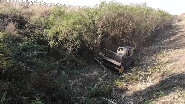 Utilaj lucrează într-un canal sec, invadat de vegetație