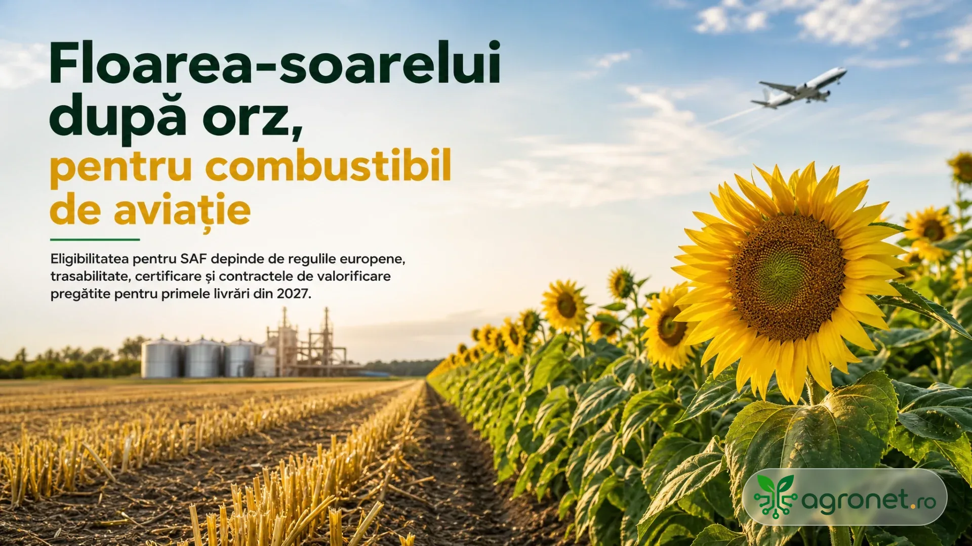Rânduri de floarea-soarelui lângă miriște de cereale, cu silozuri la orizont și avion pe cer.