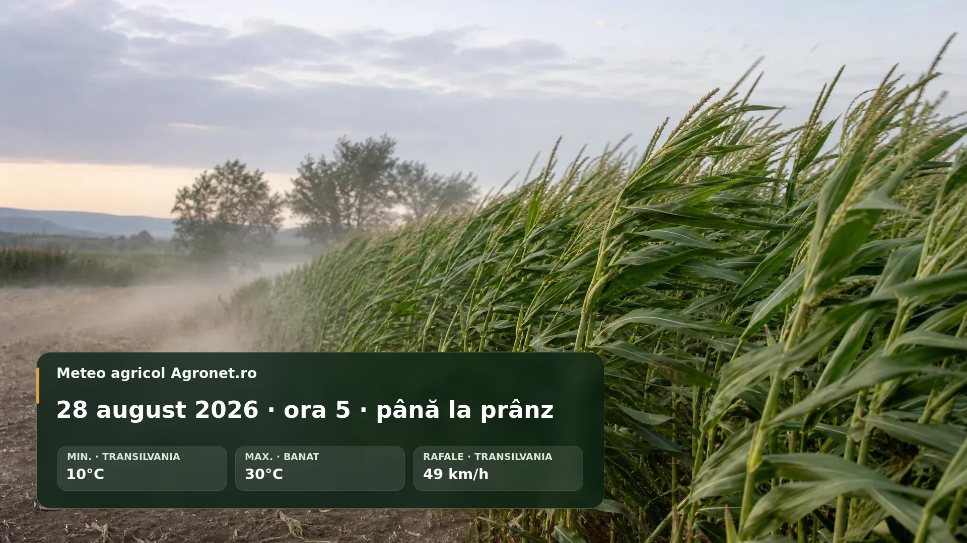 Utilaj agricol pe câmp într-o dimineață cu vânt și cer schimbător