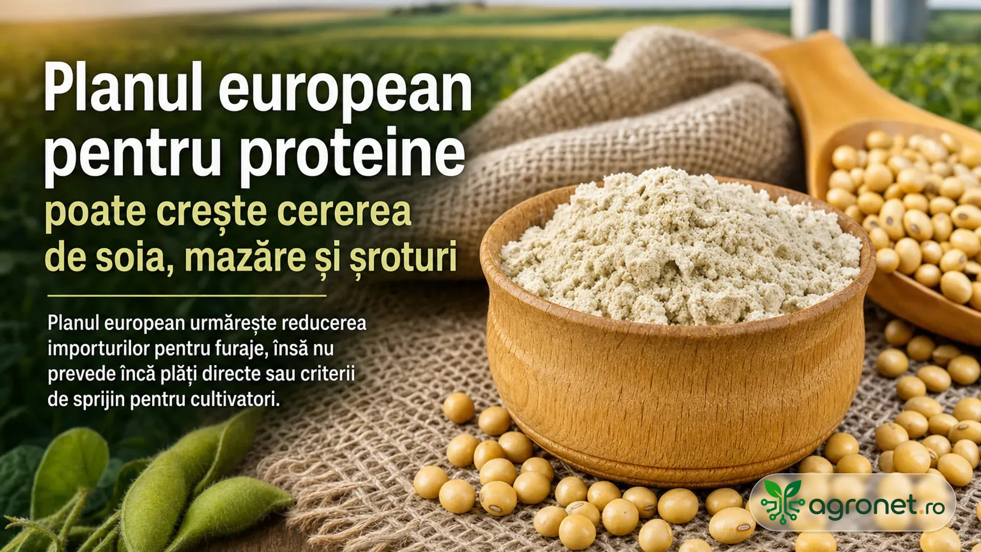 Boabe și păstăi de soia lângă un bol cu material proteic măcinat, pe fundal de câmp agricol.