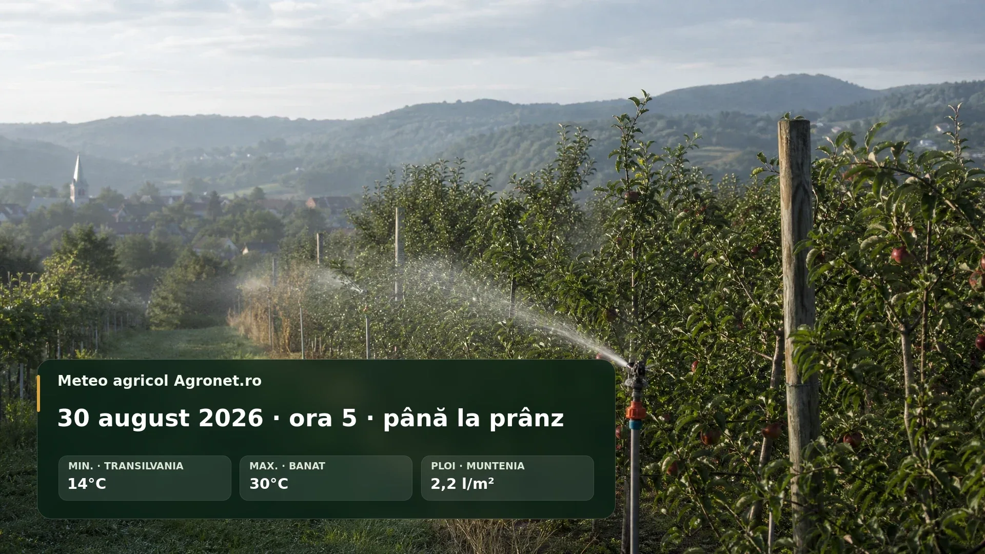 Lucrări agricole de dimineață într-un câmp, sub cer cu nori de vară