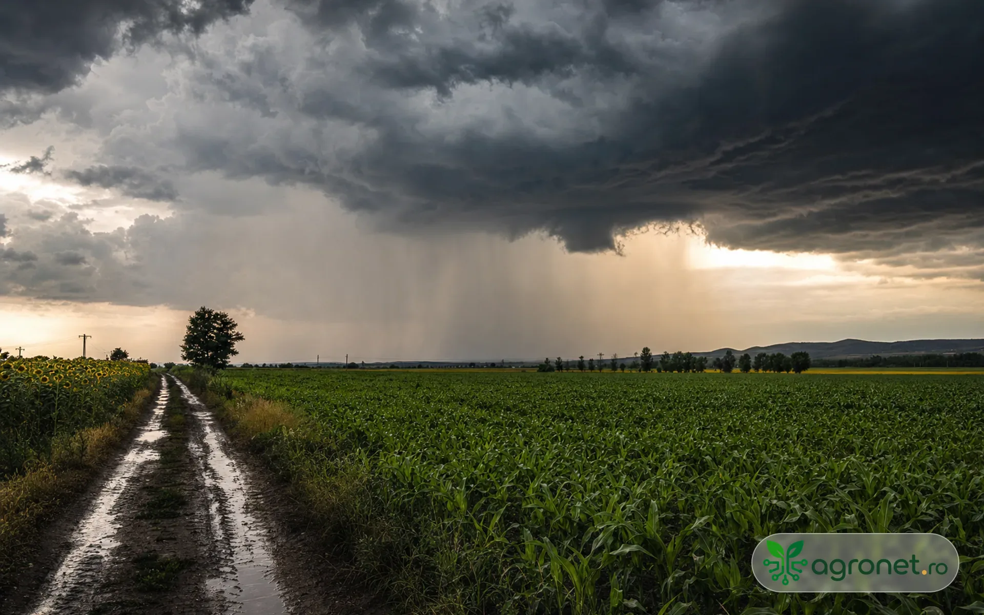 Meteo agricol România pentru dimineața de 16 iulie 2026, cu risc de furtuni și grindină în Muntenia