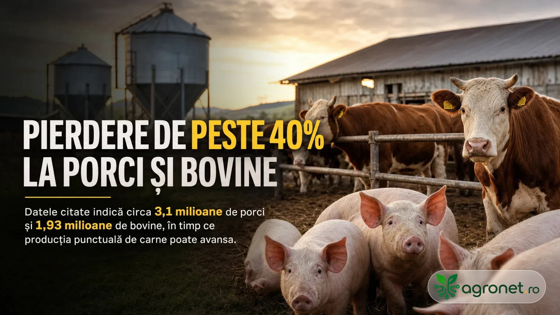 Porci și bovine stau într-o fermă, lângă un gard, cu silozuri și grajduri în fundal.