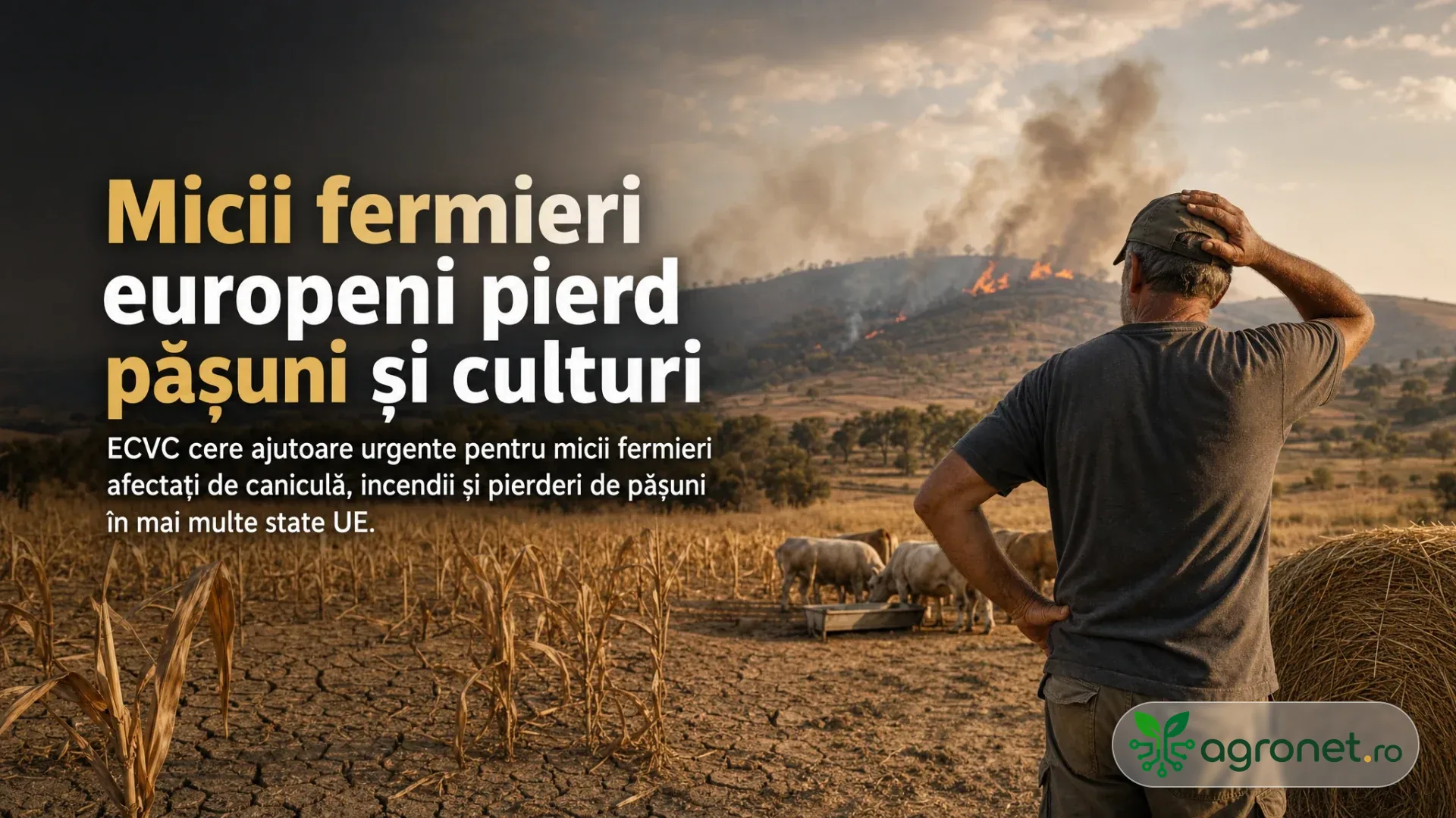 Fermier privit din spate pe un teren agricol uscat, cu animale lângă un balot de fân și fum pe dealuri.