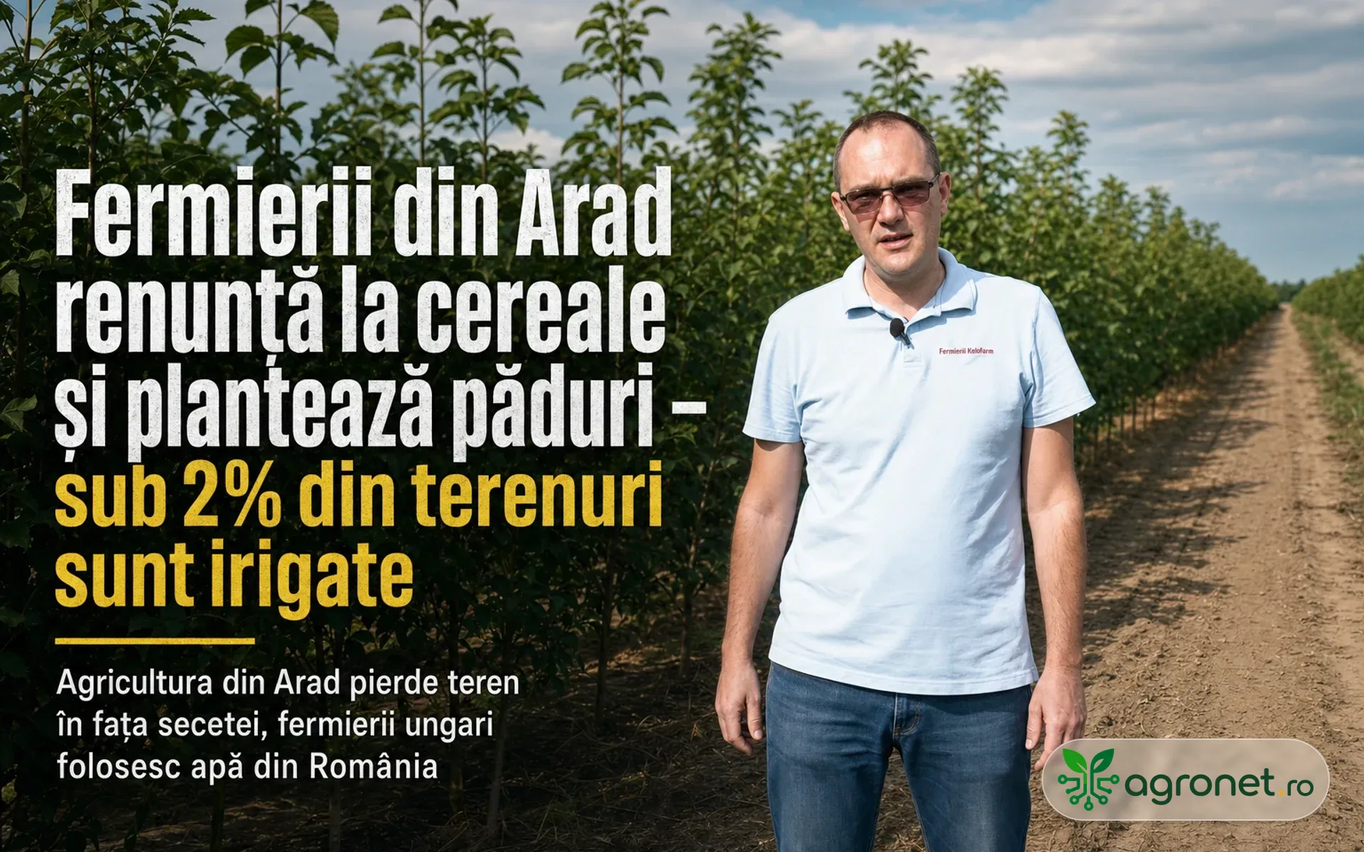 Fermierii din Arad renunță la cereale și plantează păduri - sub 2% din terenuri sunt irigate