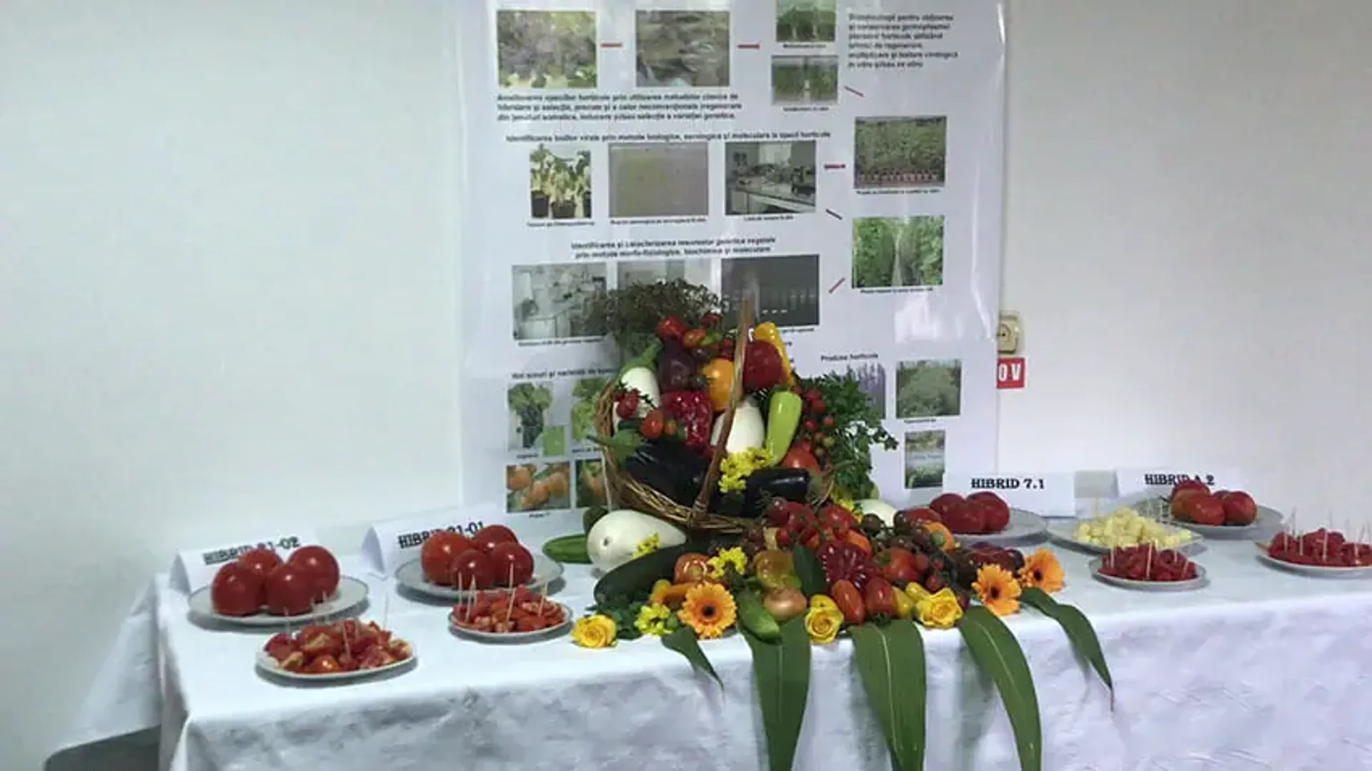 Masă cu farfurii de tomate etichetate, coș cu legume și panou informativ într-un spațiu interior.