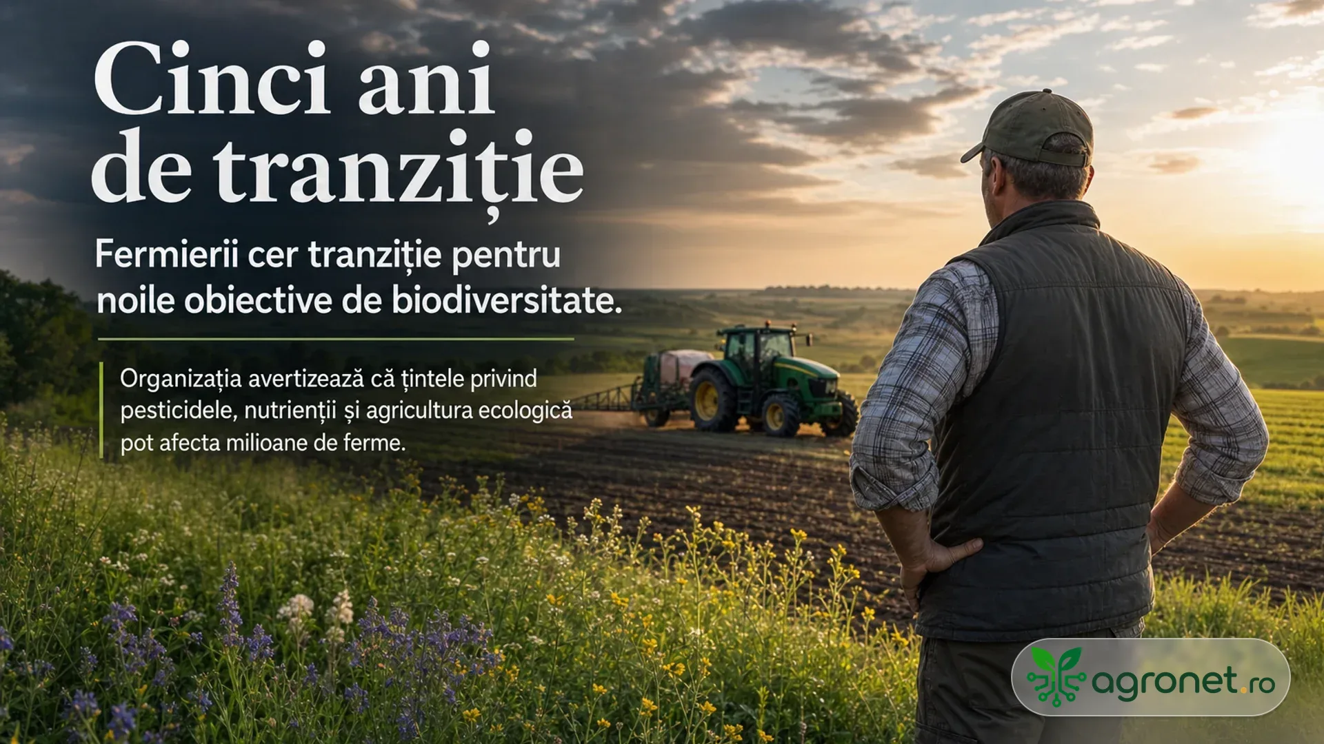 Fermier văzut din spate privește un tractor care lucrează pe un câmp, lângă o margine cu flori sălbatice, la apus.