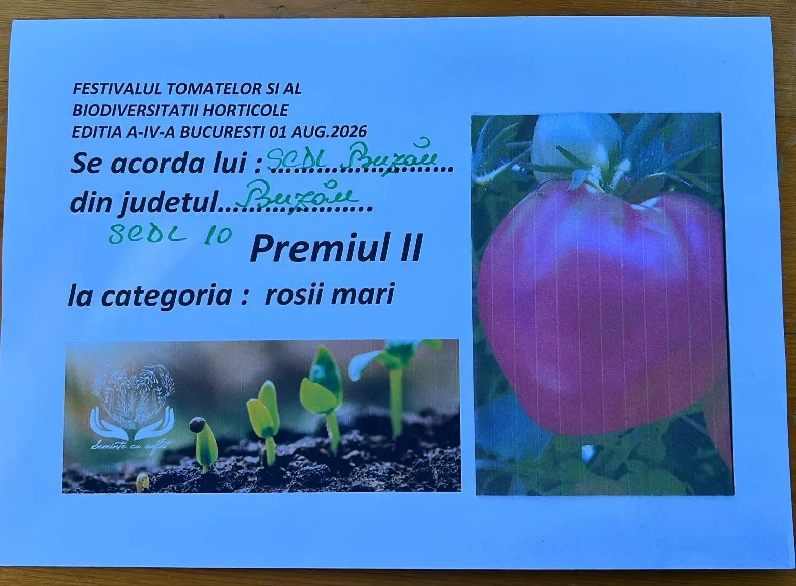 Diplomă Premiul II pentru roșii mari, cu tomată roz-roșiatică